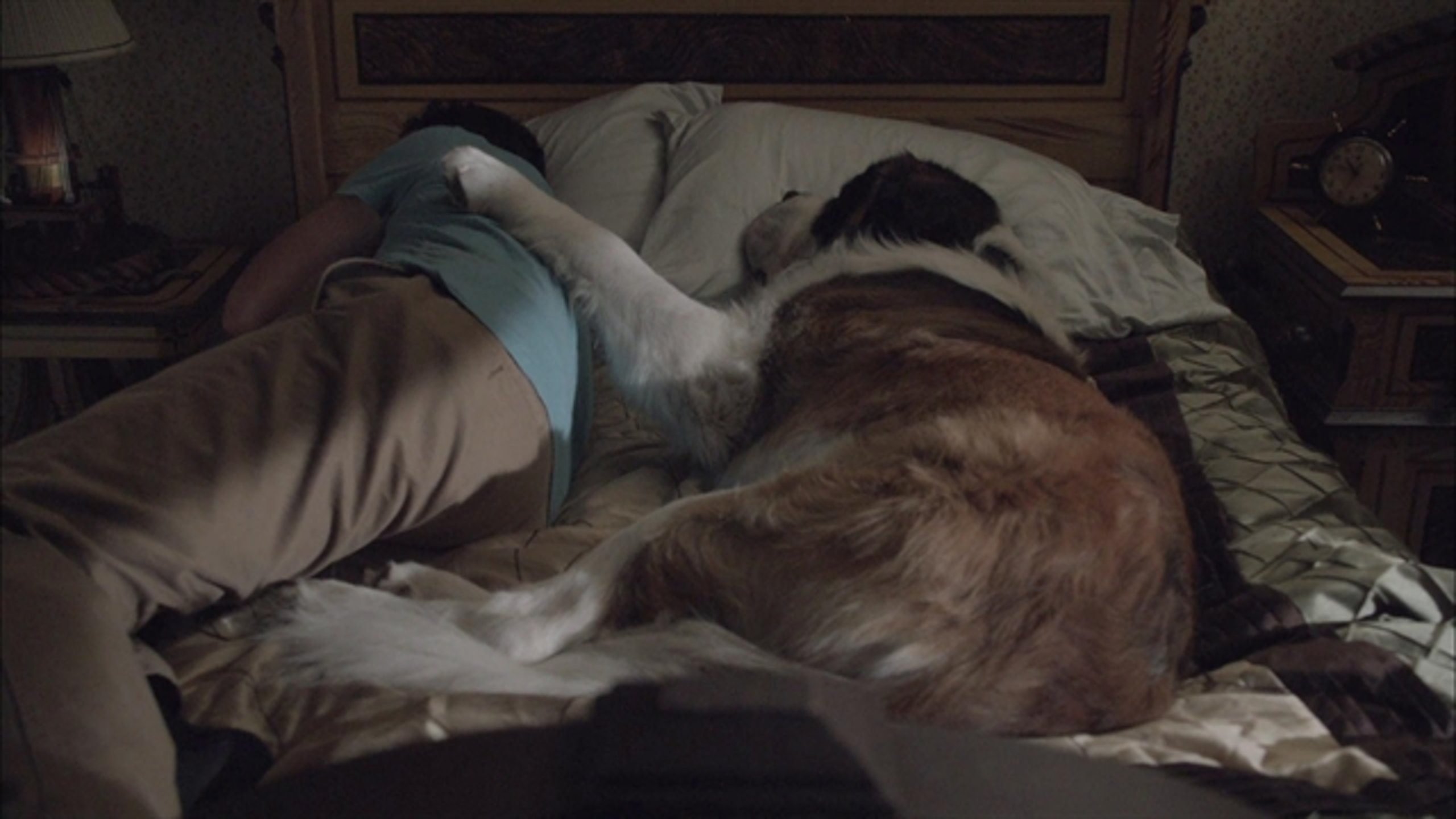 Beethoven's Treasure Tail - Thumbnail