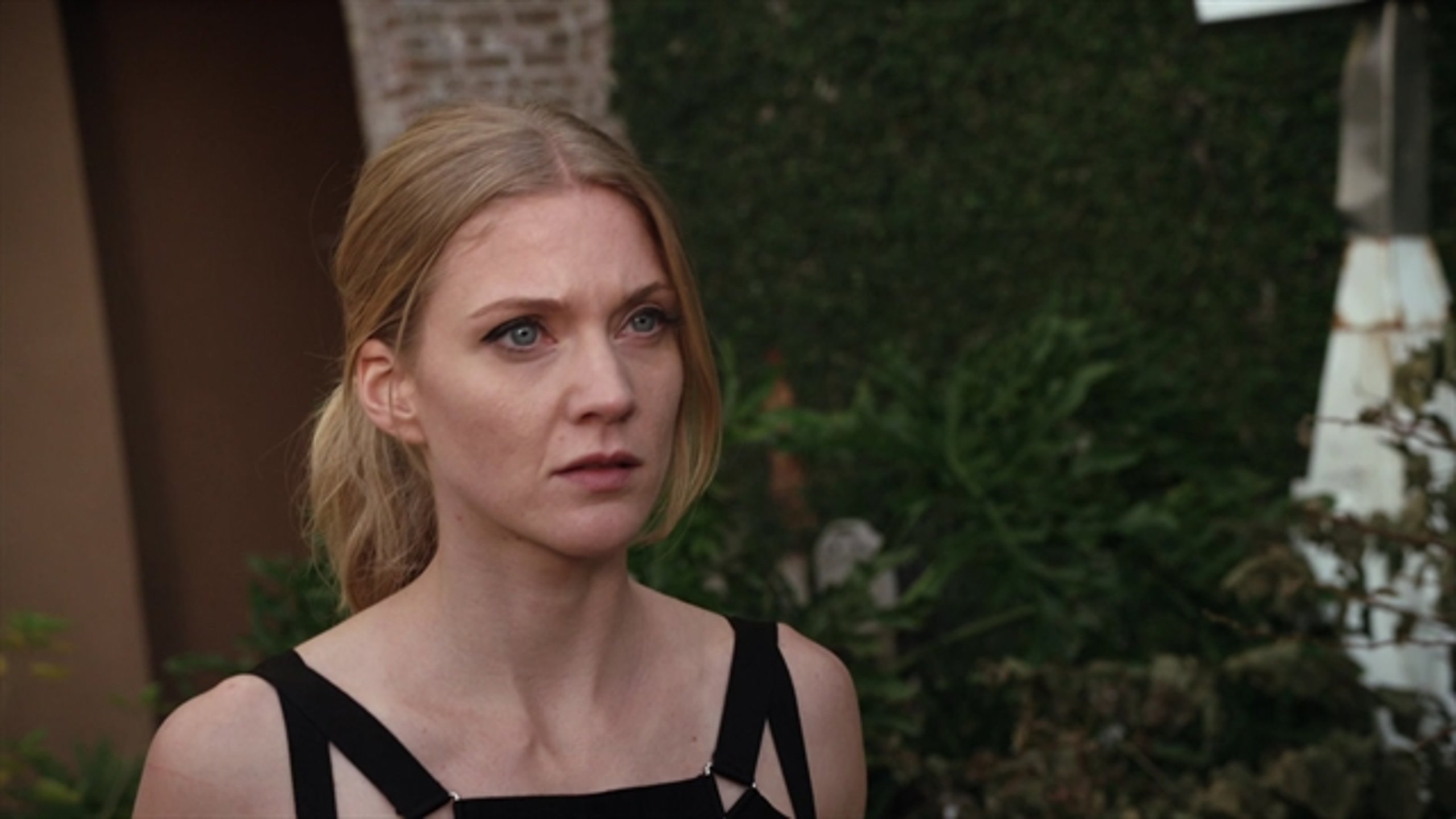 Cat Run 2 - Thumbnail