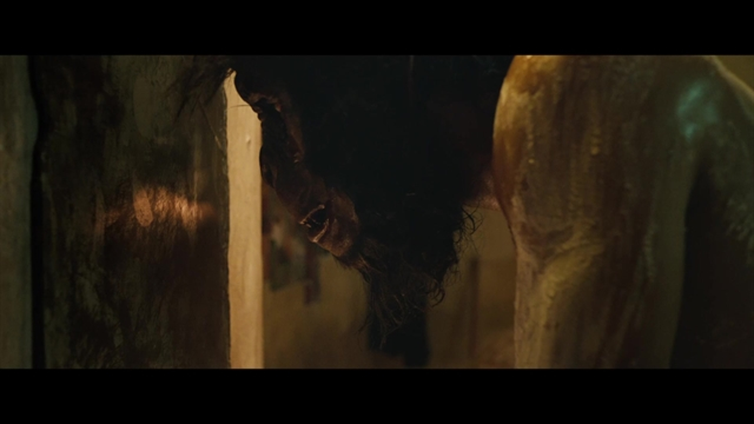 Monkey Man - Thumbnail