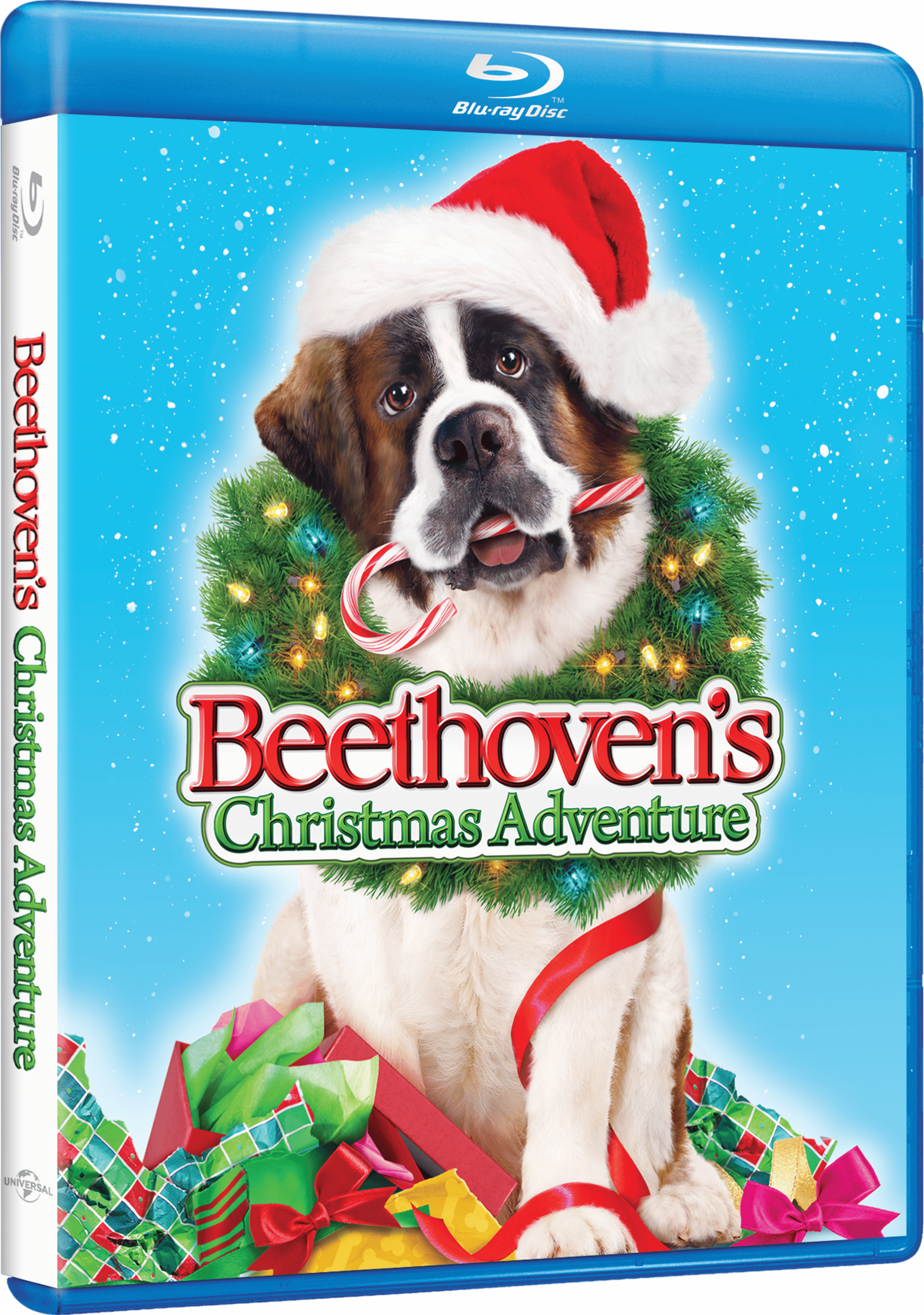 BeethovensChristmasAdventure_BD_2D_810072546623.png