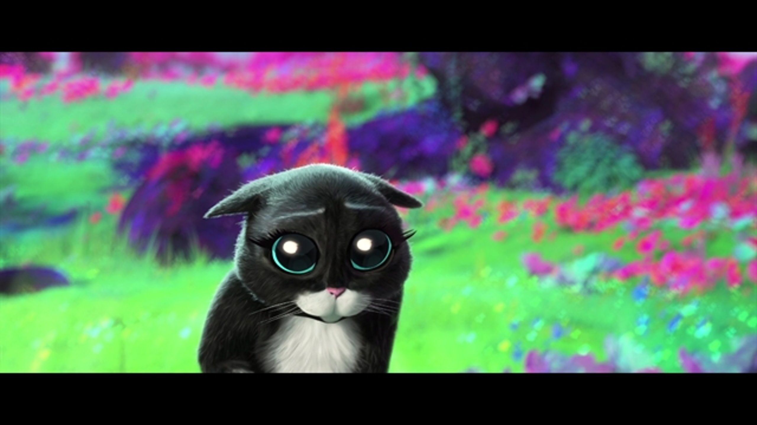 Puss in Boots: The Last Wish - Thumbnail