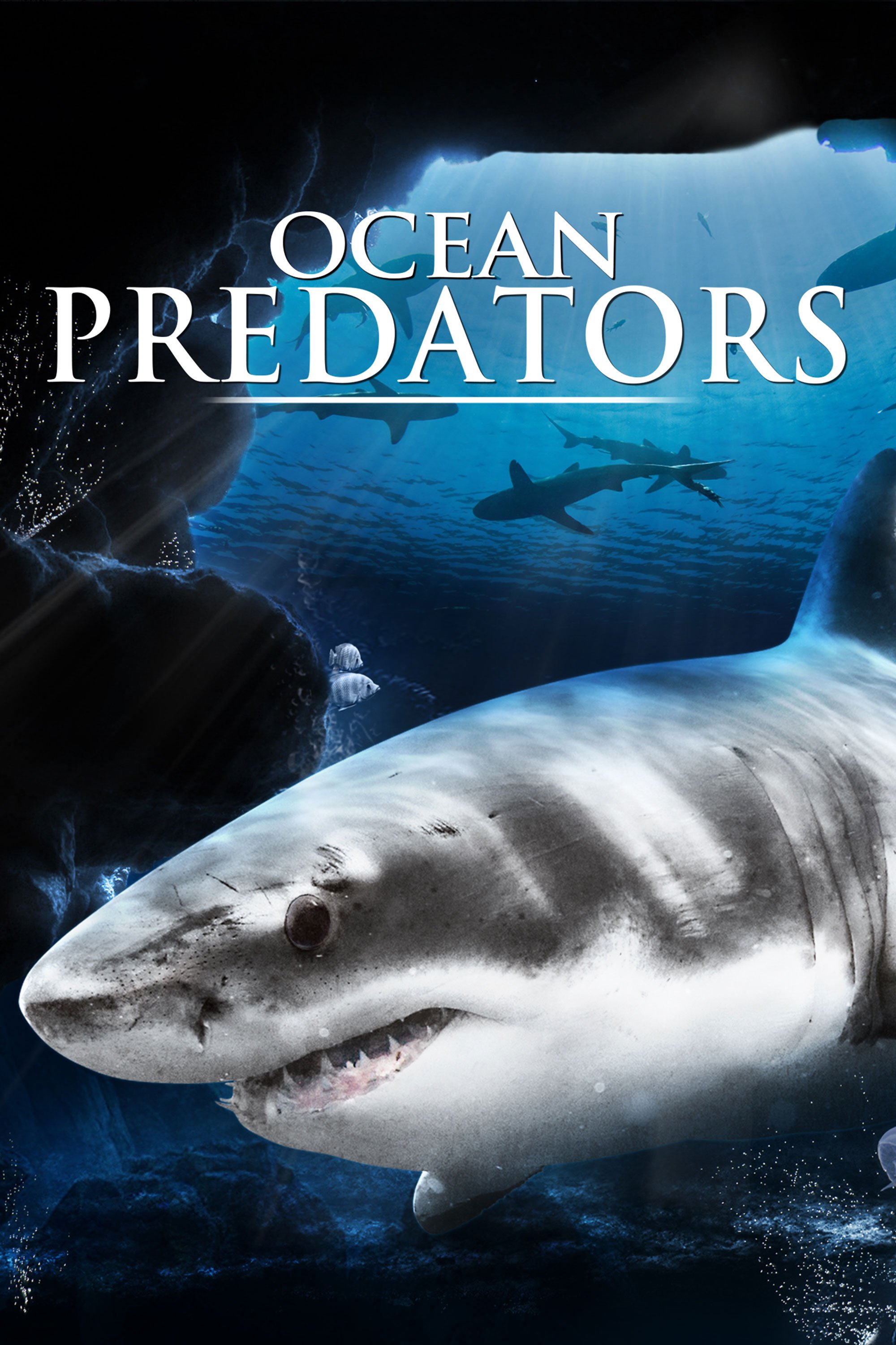OceanPredators_Poster_2000x3000_uaa.jpg