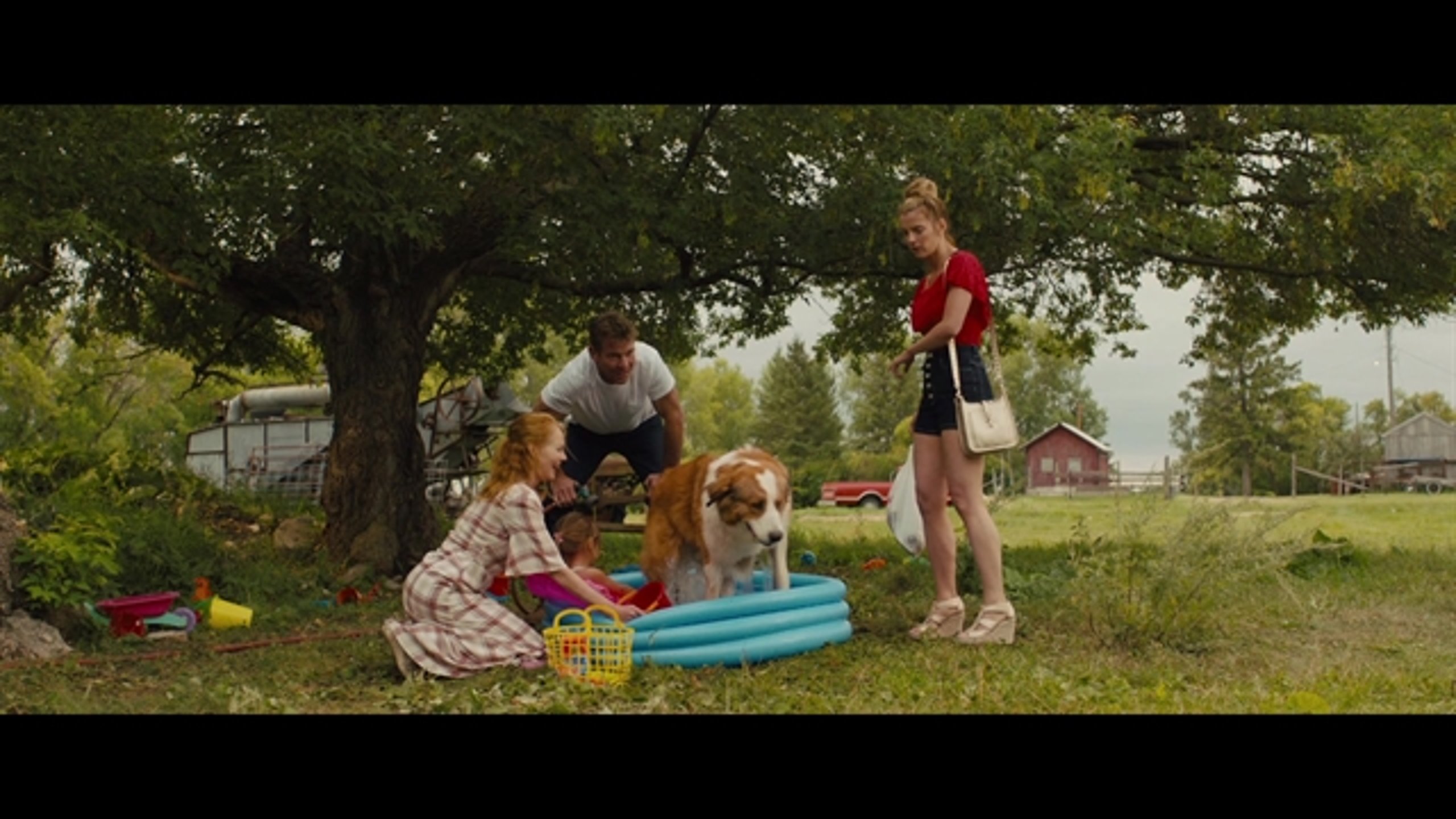 A Dog's Journey - Thumbnail