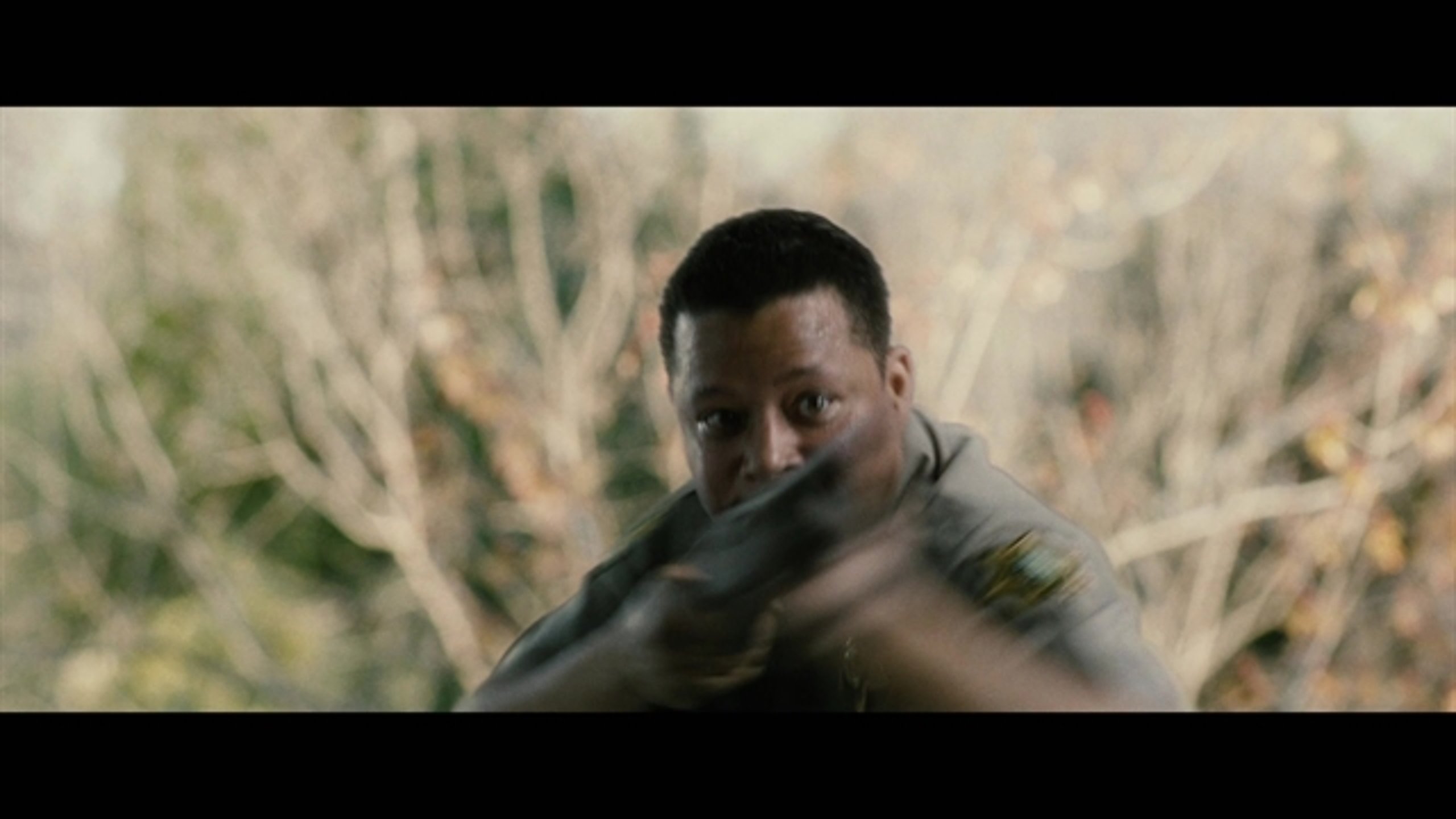 Term Life - Thumbnail