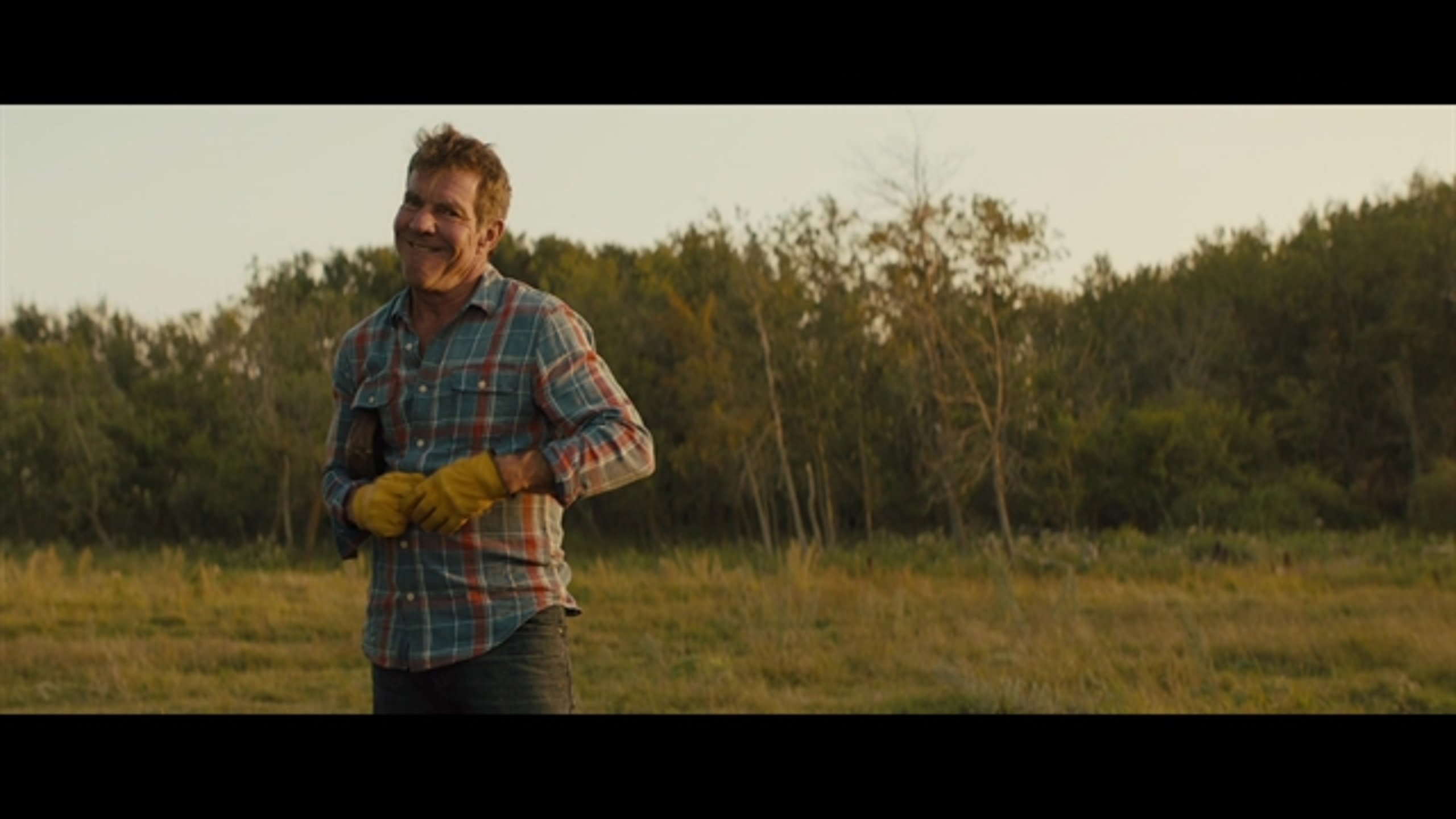 A Dog's Journey - Thumbnail