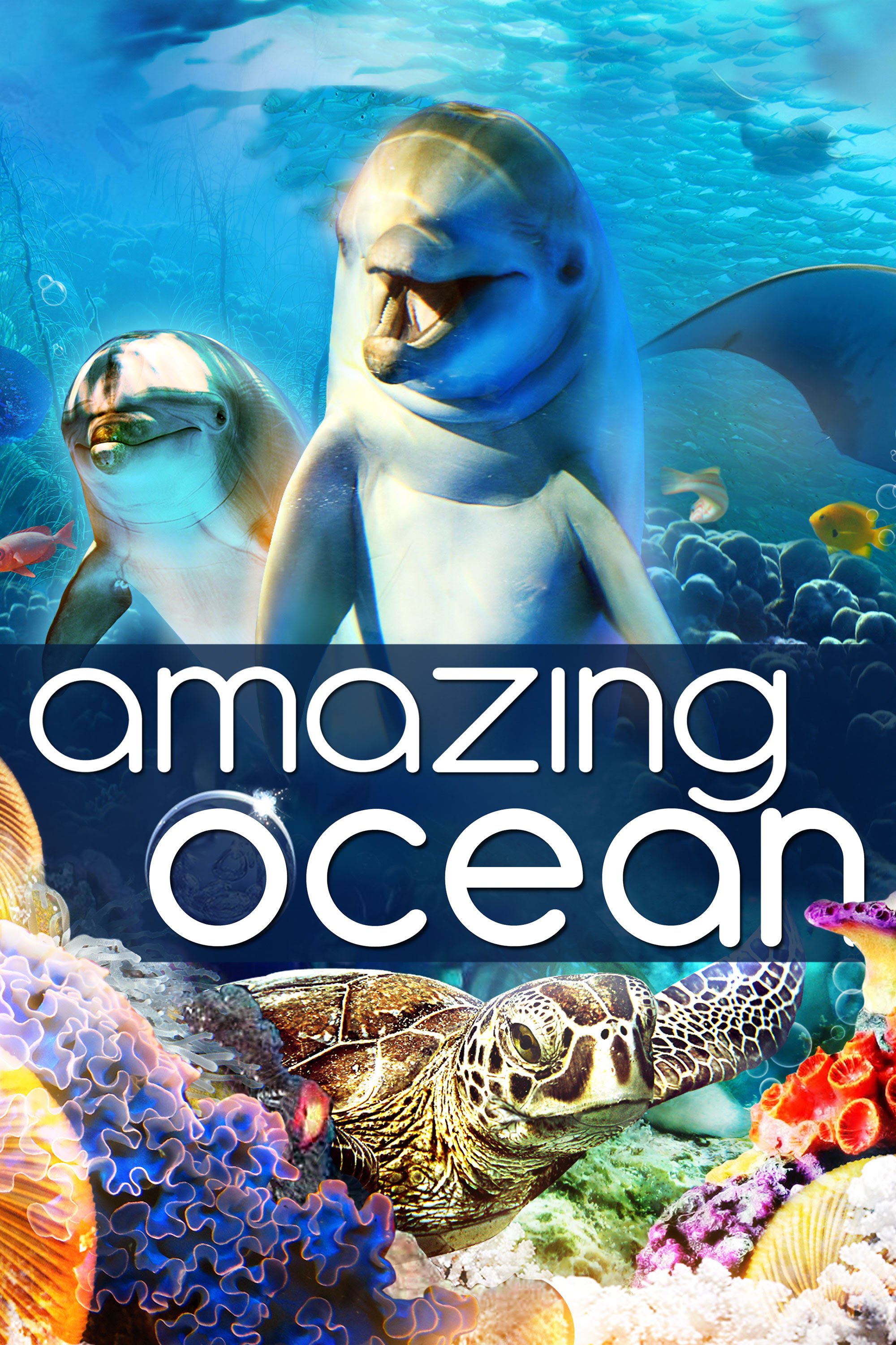 AmazingOcean_keyart_desktop_2000x3000.jpg