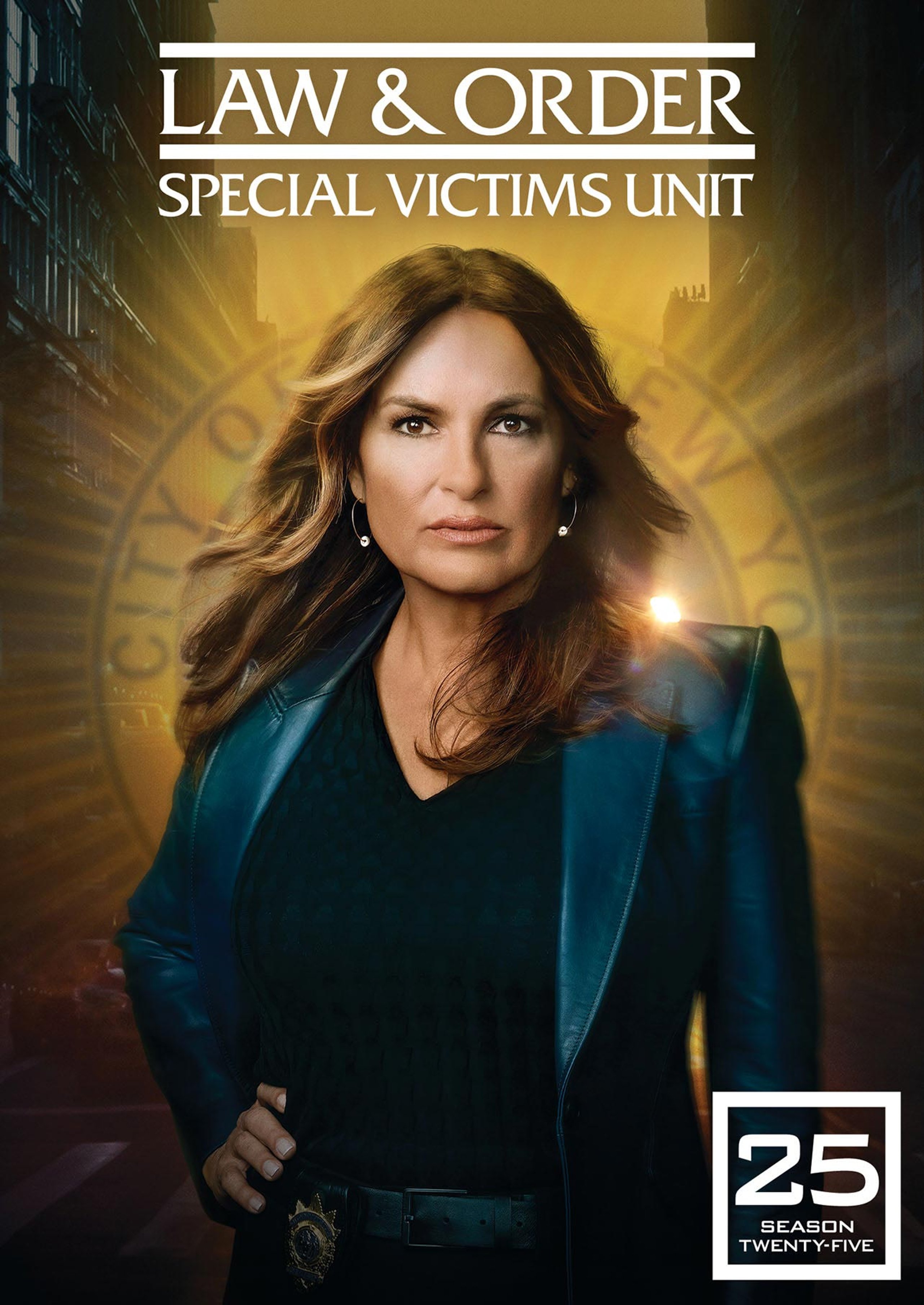 Law&OrderSVUTwentyFifthYear_Poster.jpg
