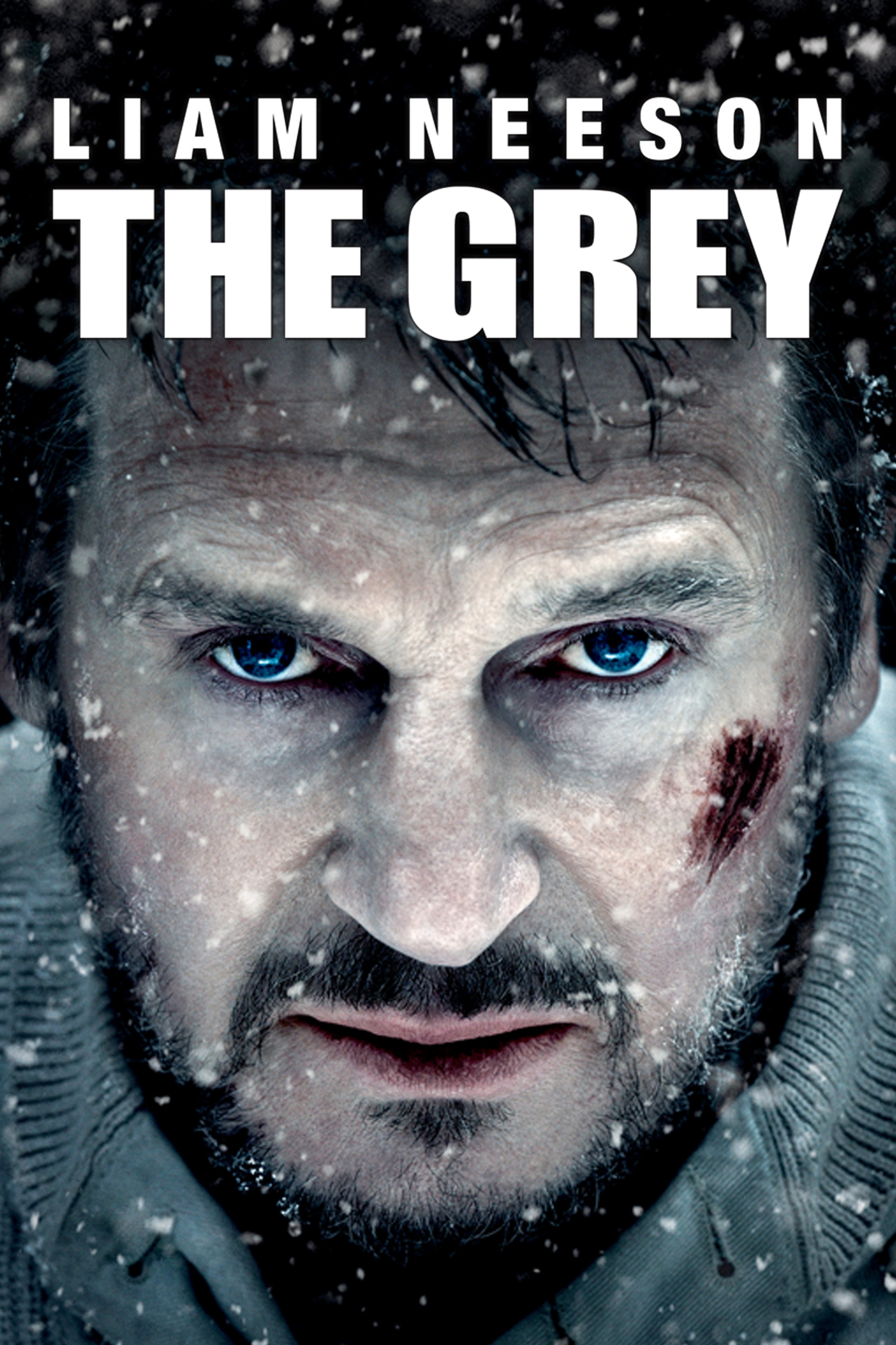 TheGrey_Poster_2000x3000_uaa.jpg