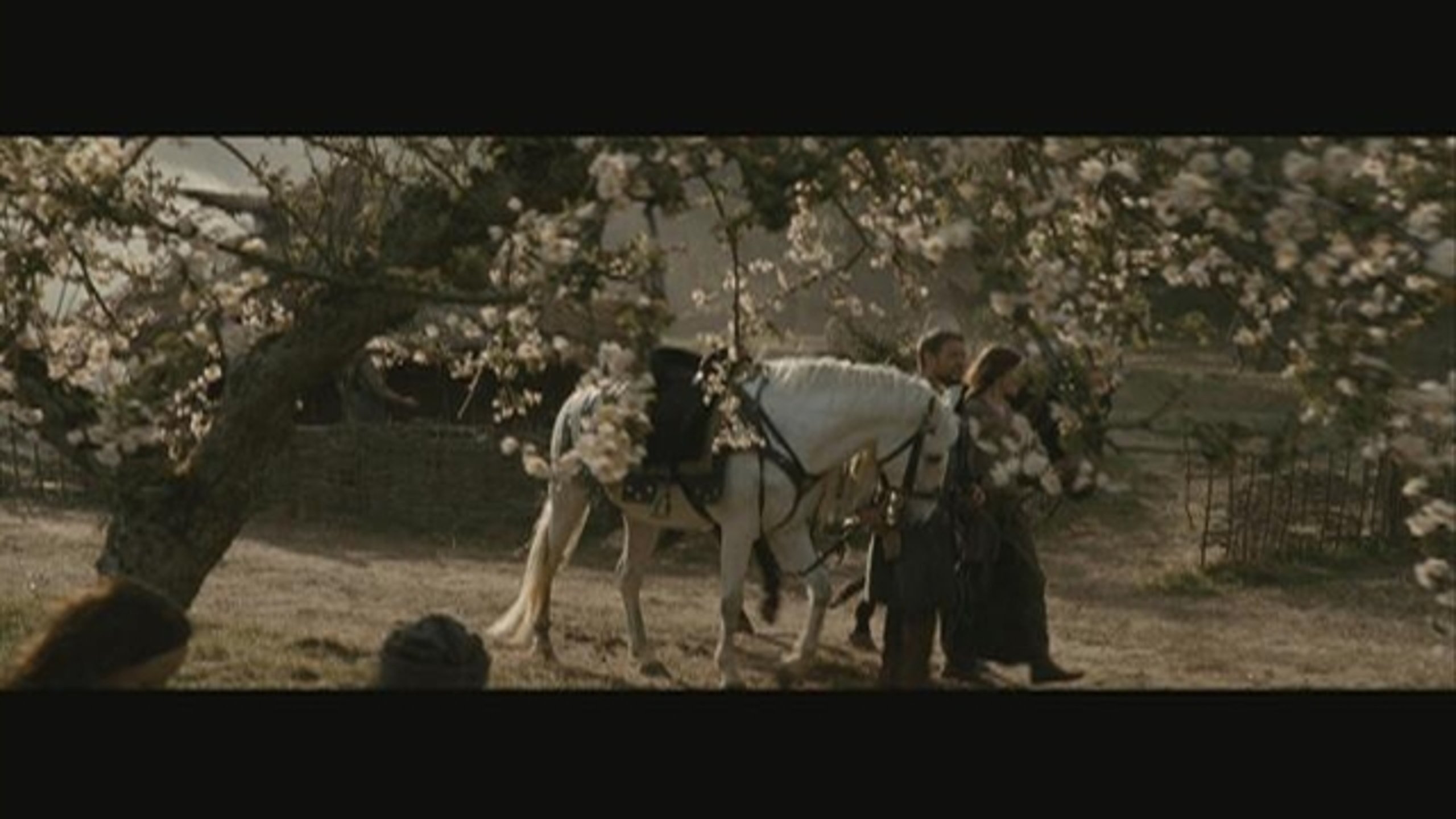 Robin Hood - Thumbnail