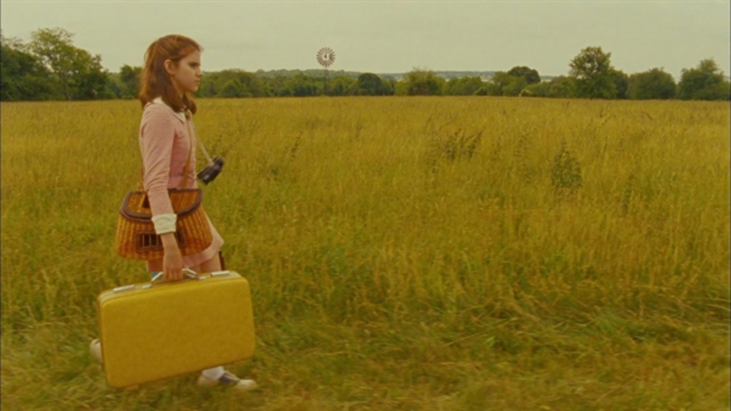 Moonrise Kingdom - Thumbnail