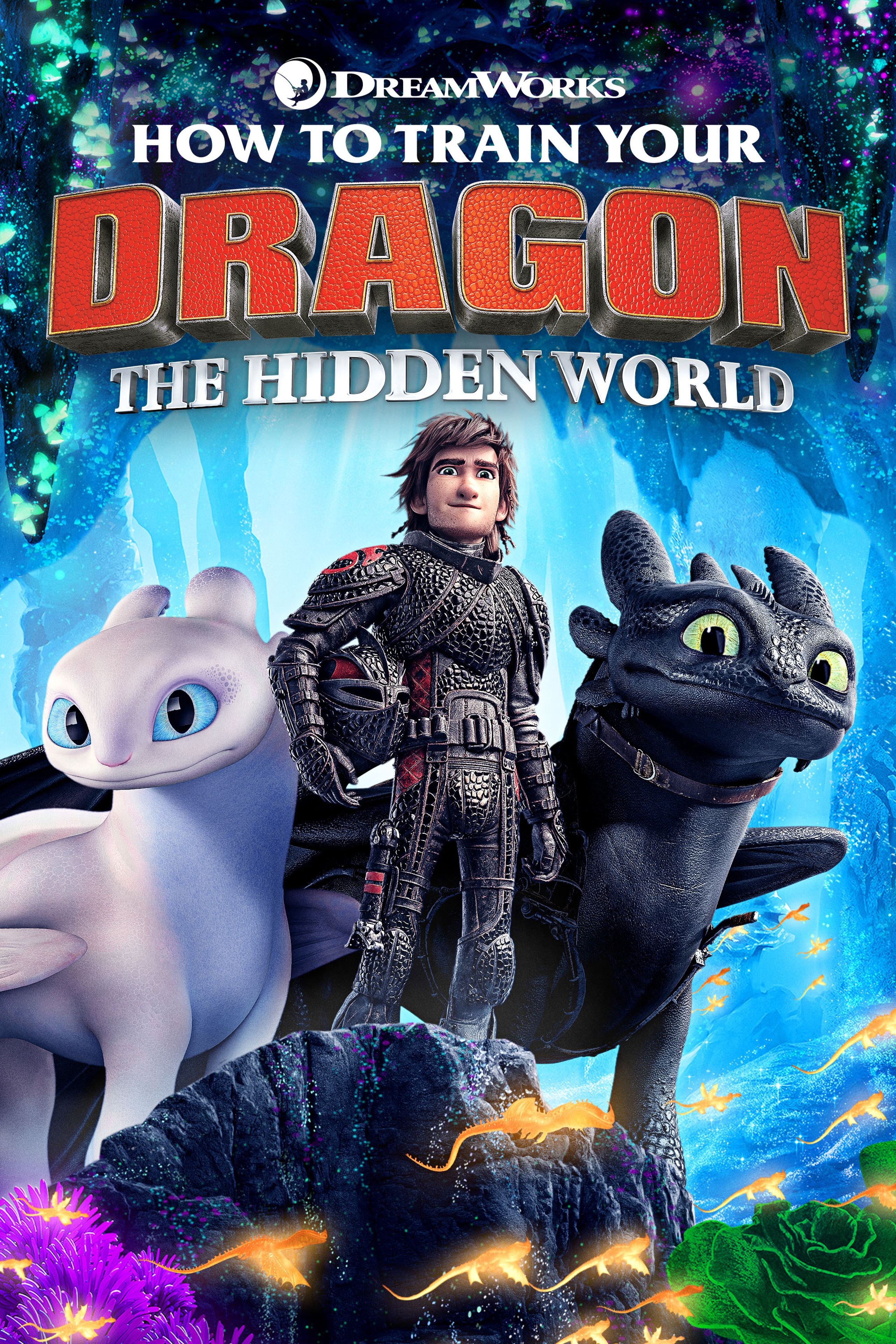 HowToTrainYourDragonTheHiddenWorld_keyart_desktop_2000x3000.jpg
