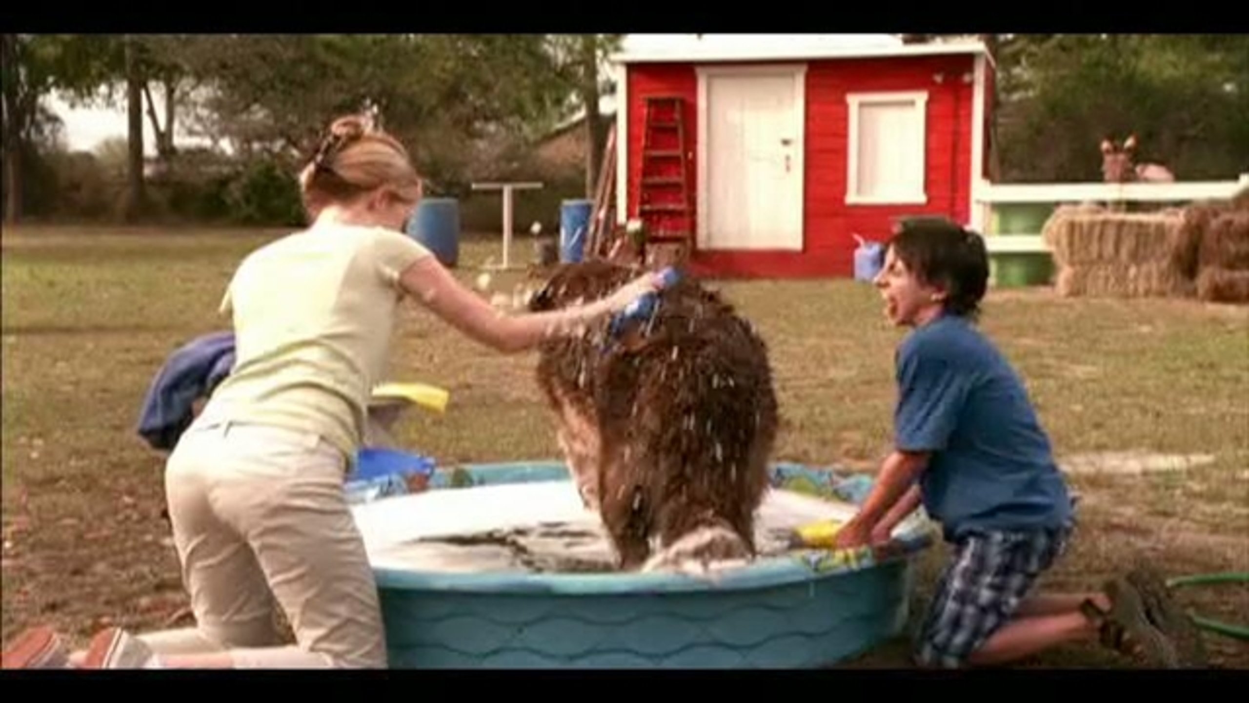 Beethoven's Big Break - Thumbnail