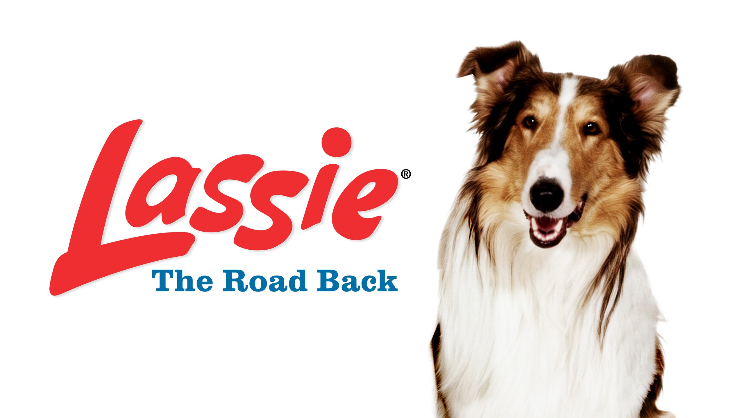 LassieTheRoadBack_keyart_mobile_3840x2160.jpg