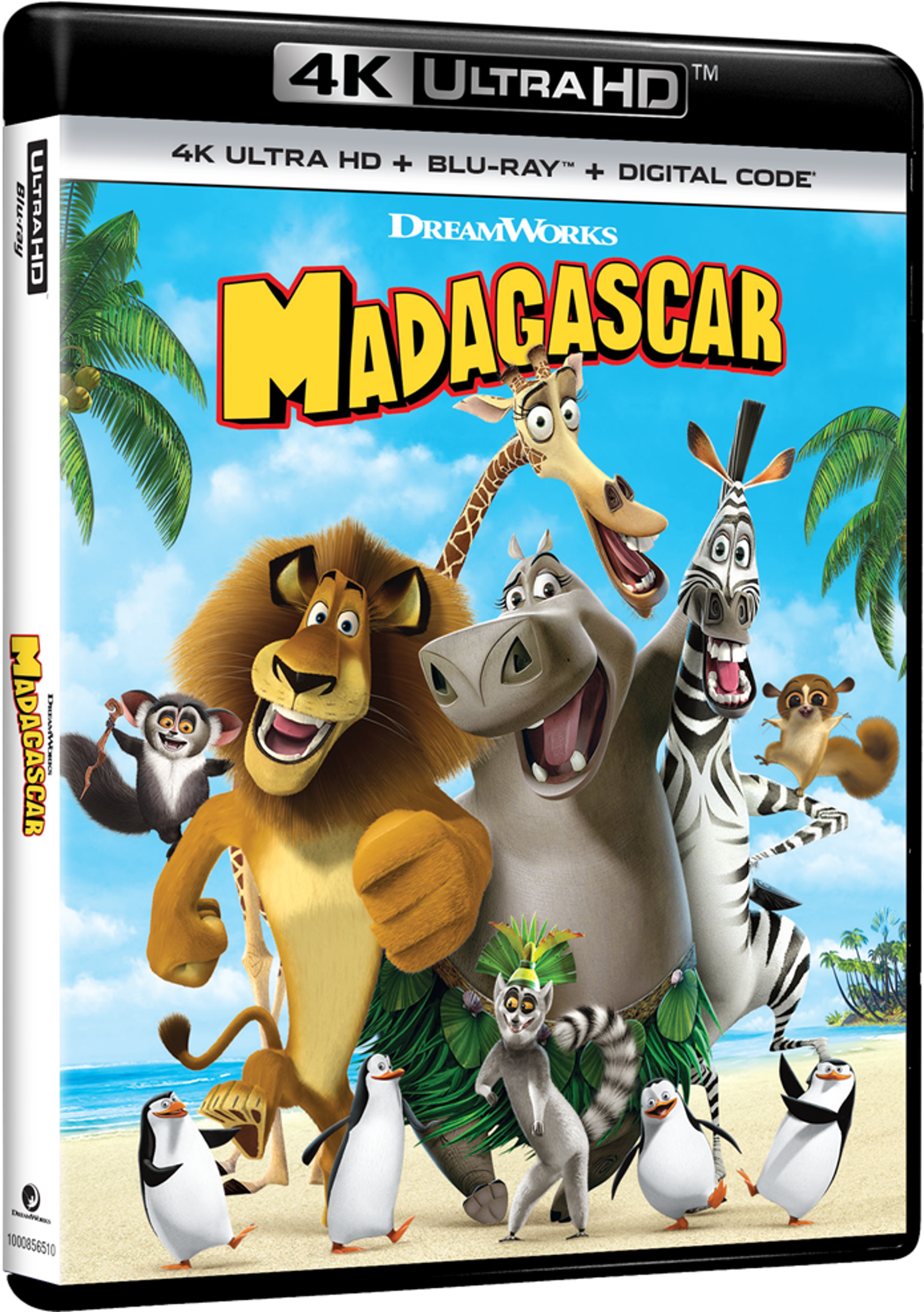 Madagascar_4k_2d_191329281659.png