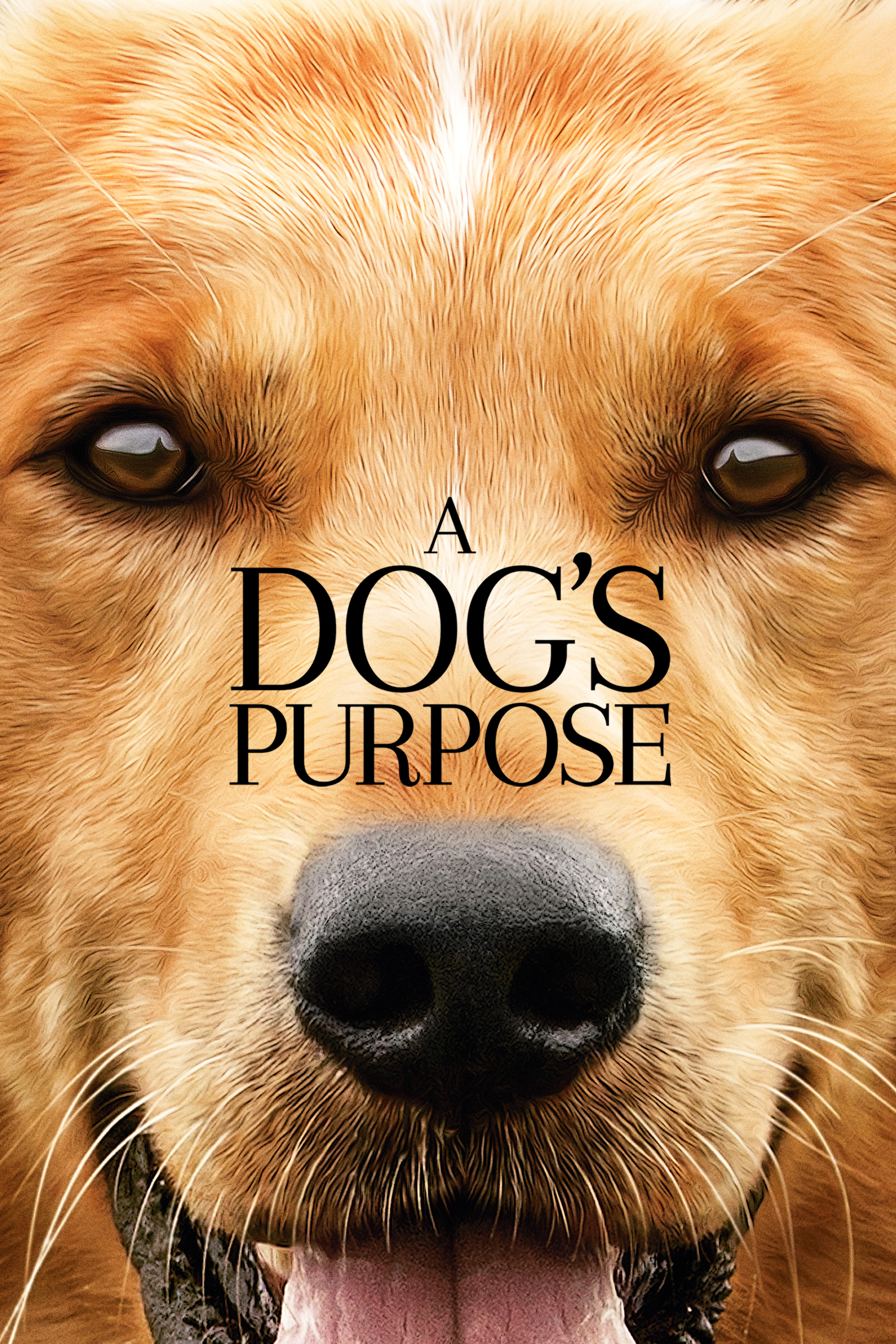 ADogsPurpose_keyart_desktop_2000x3000.jpg