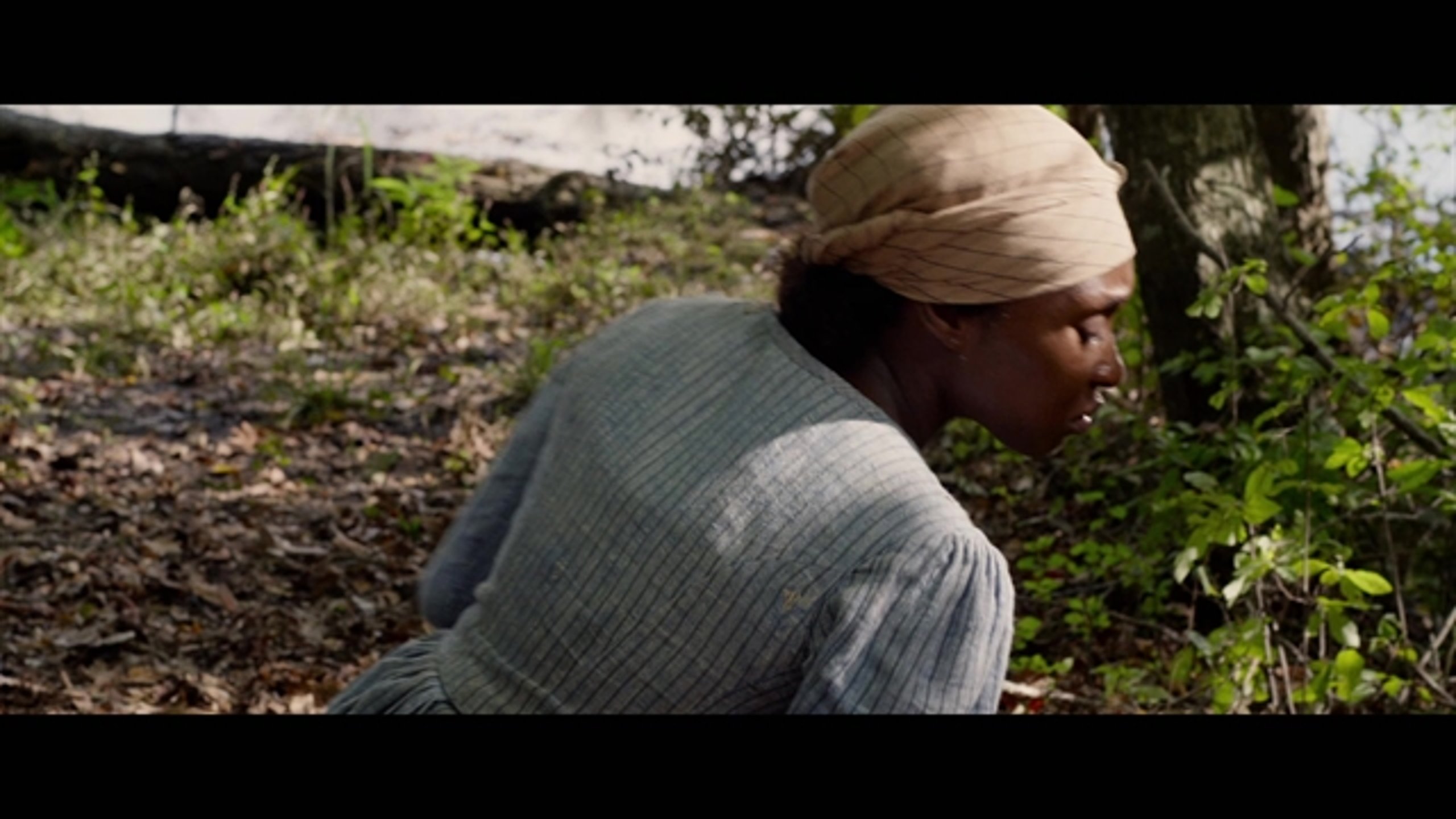 Harriet - Thumbnail