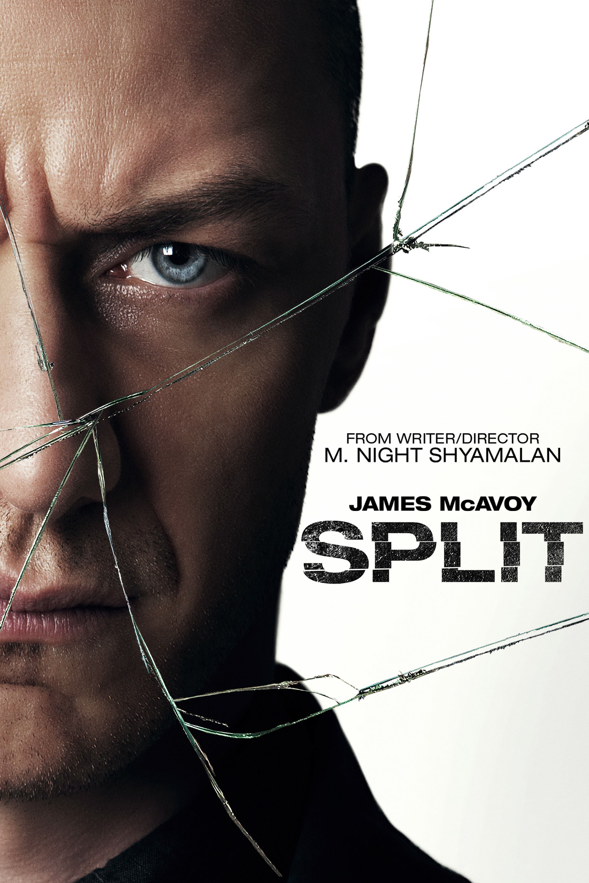 Split_Poster_2000x3000_uaa.jpg