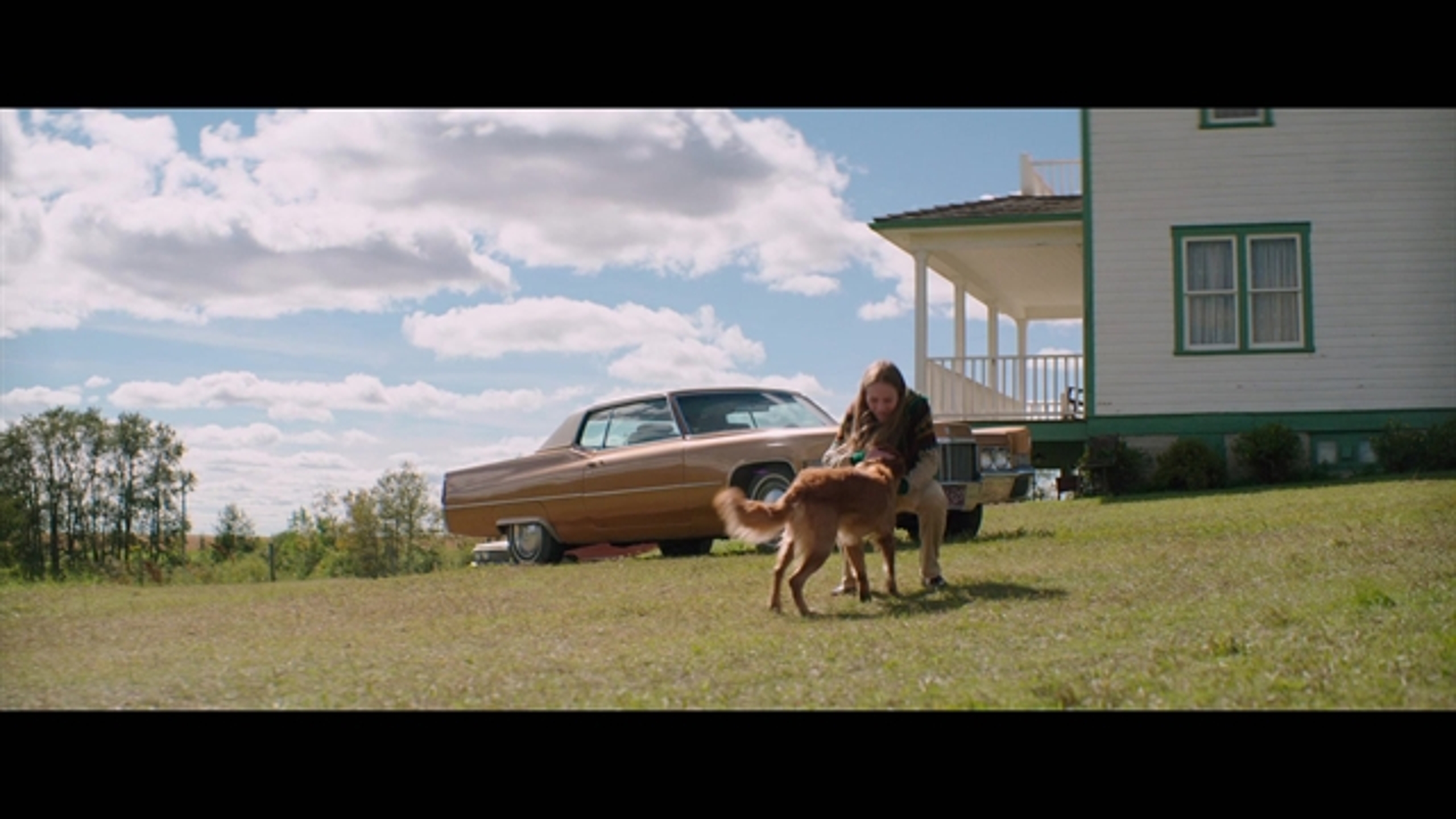 A Dog's Purpose - Thumbnail