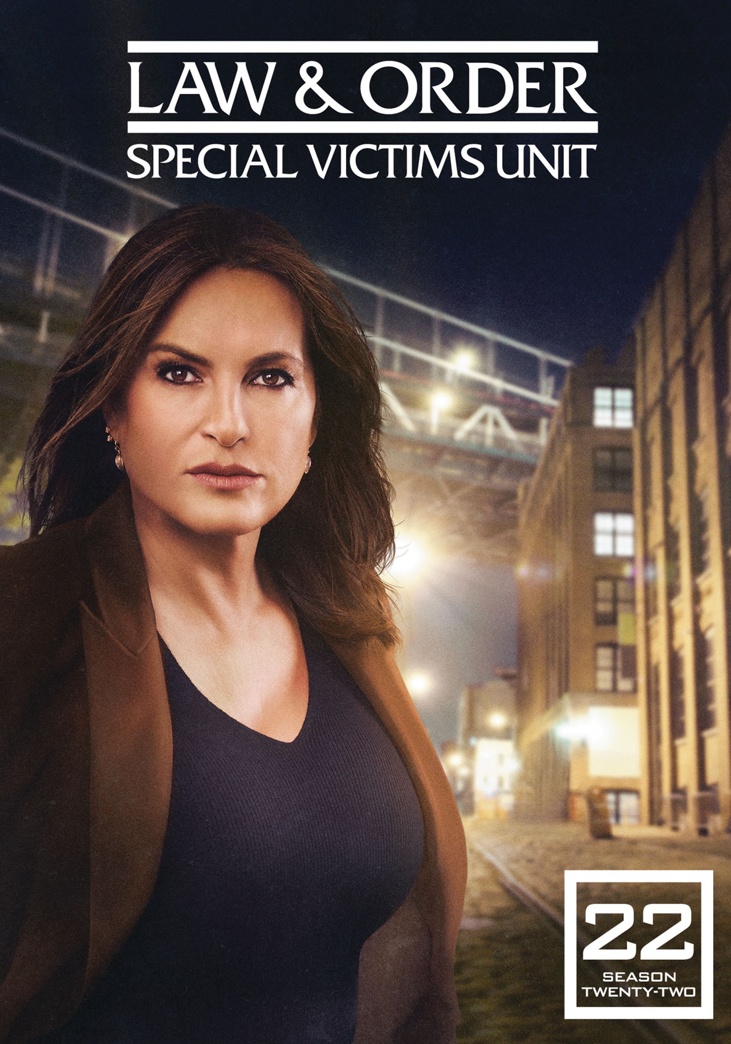 LawAndOrderSpecialVictimsUnitTwentySecondYear_Poster.jpg