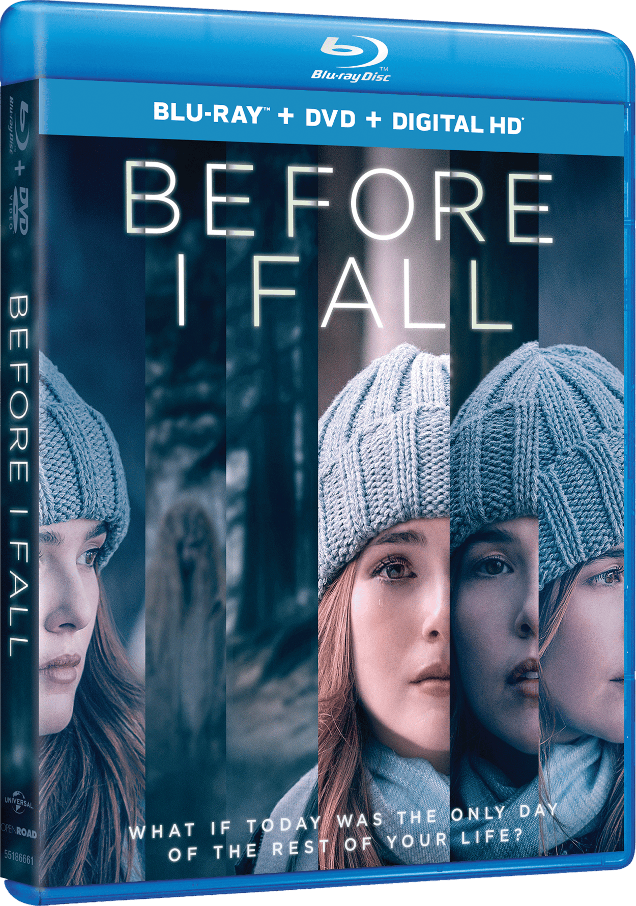 BeforeIFall_BD_2D_191329008829.png