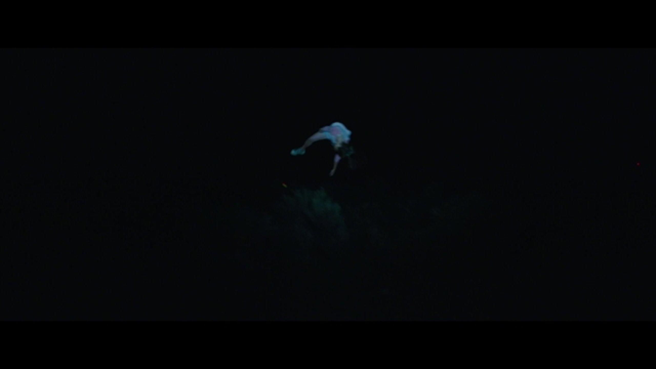 The Signal - Thumbnail
