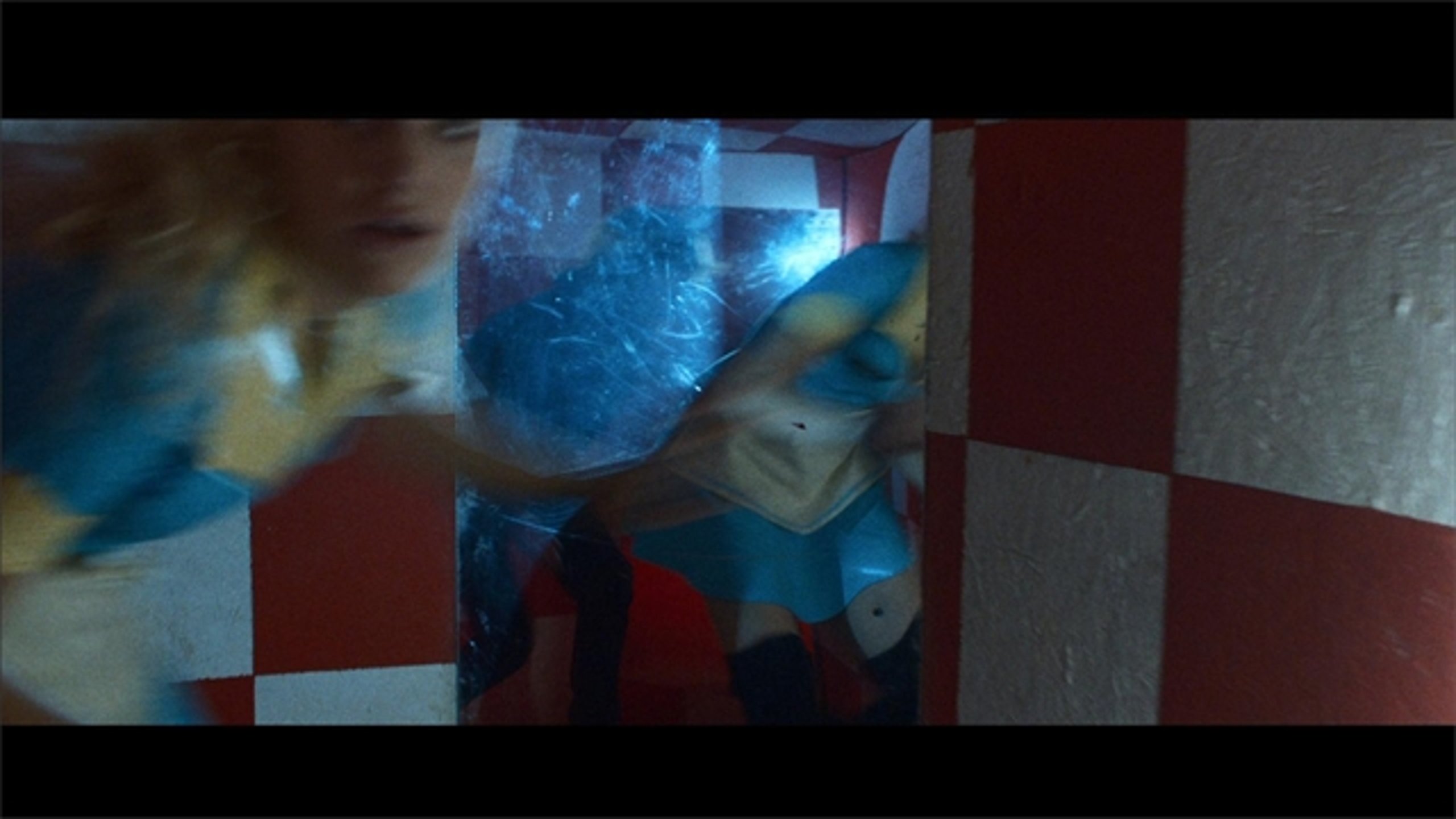 The Guest - Thumbnail