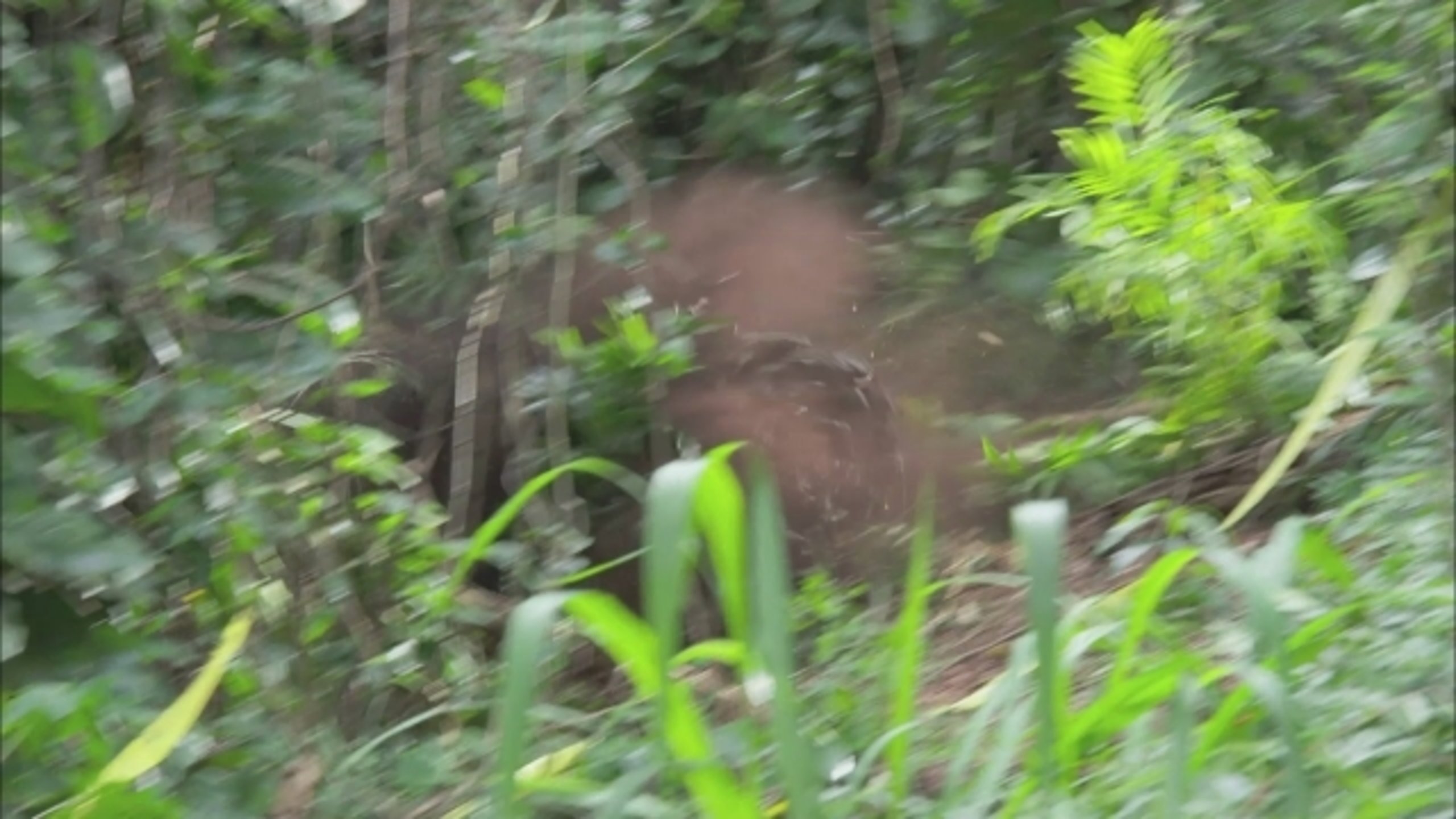 Jurassic World - Thumbnail