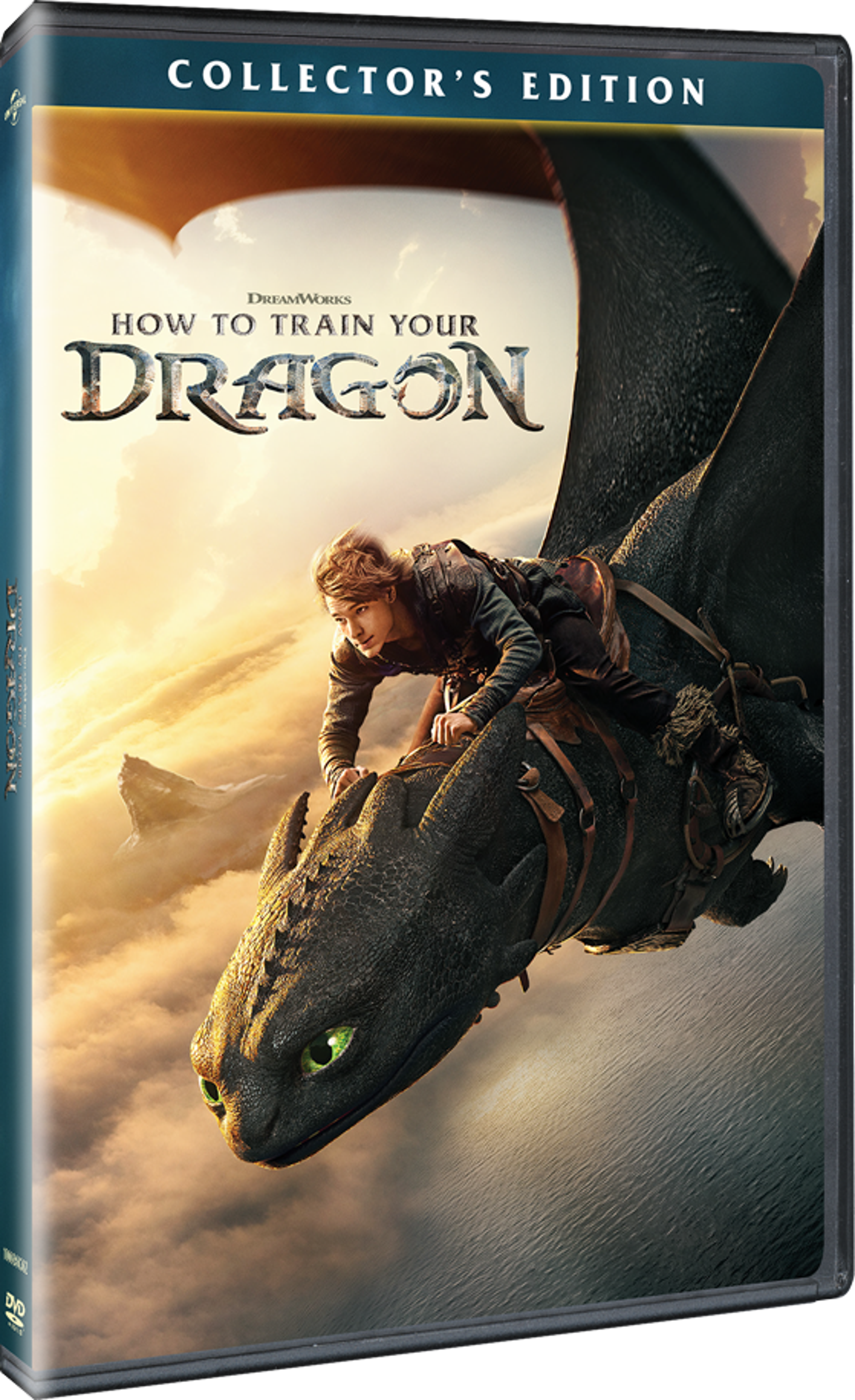 HowtoTrainYourDragon_dvd_3d_191329275825.png