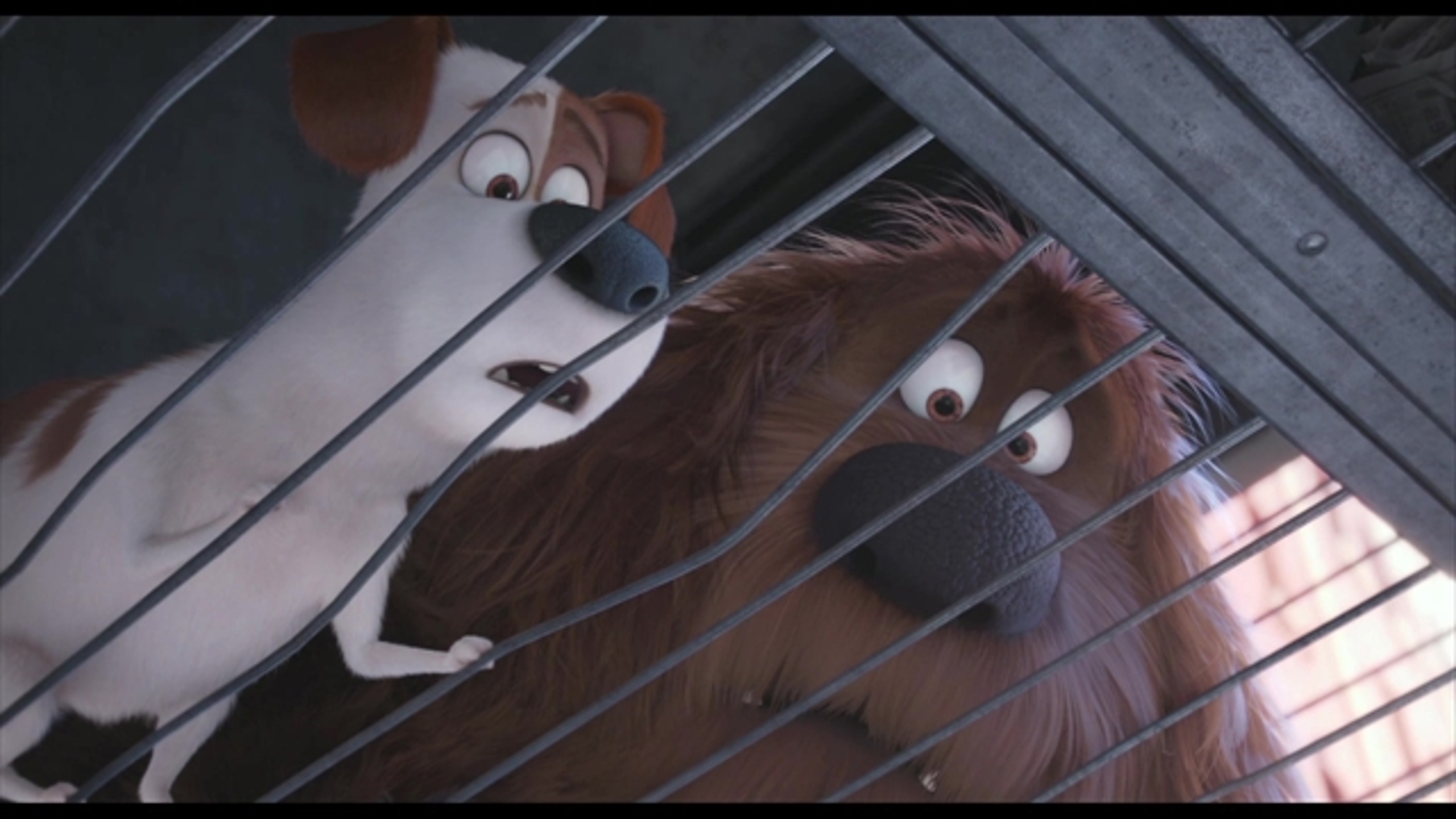 The Secret Life of Pets - Thumbnail