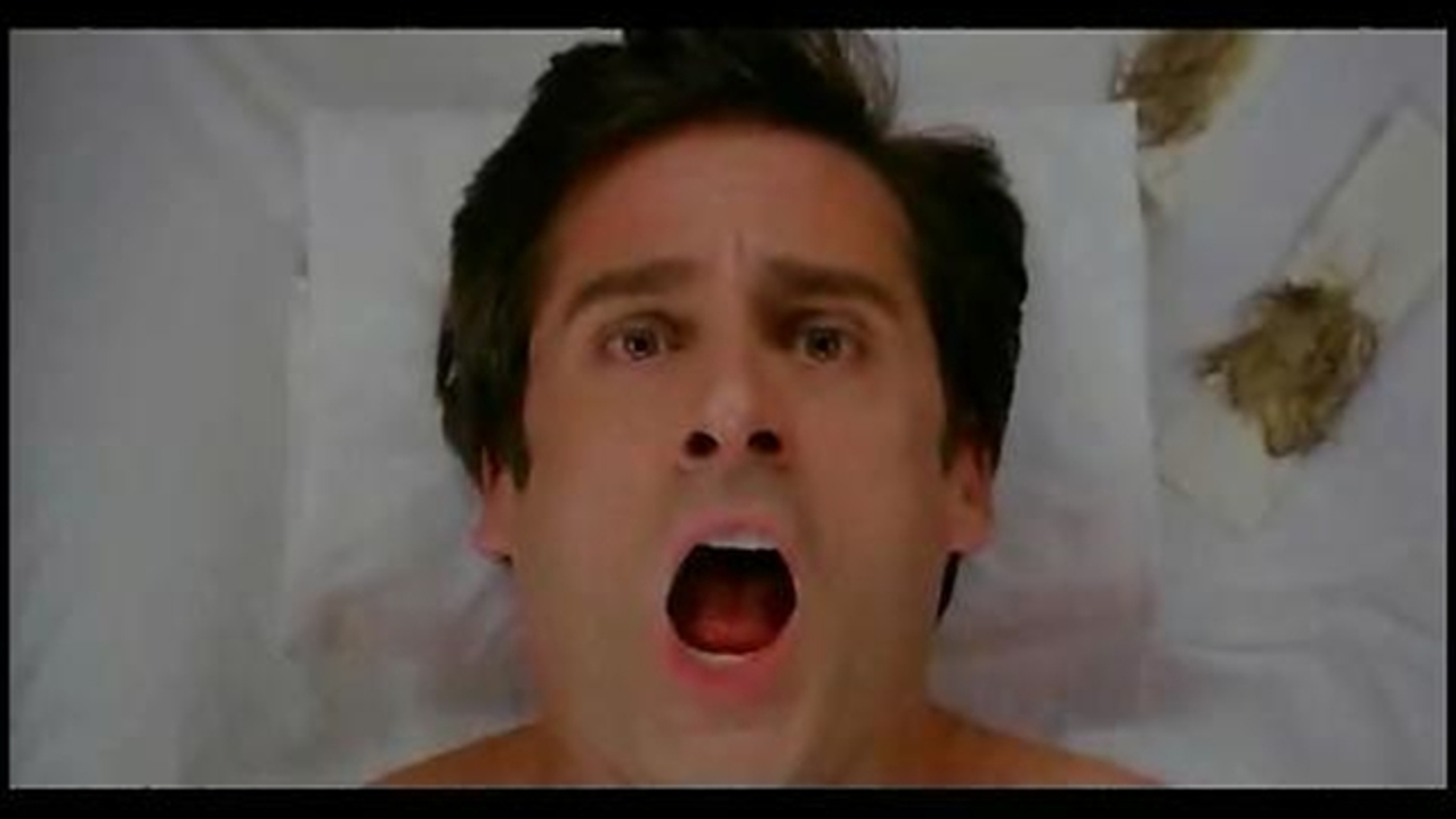 The 40-Year-Old Virgin - Thumbnail