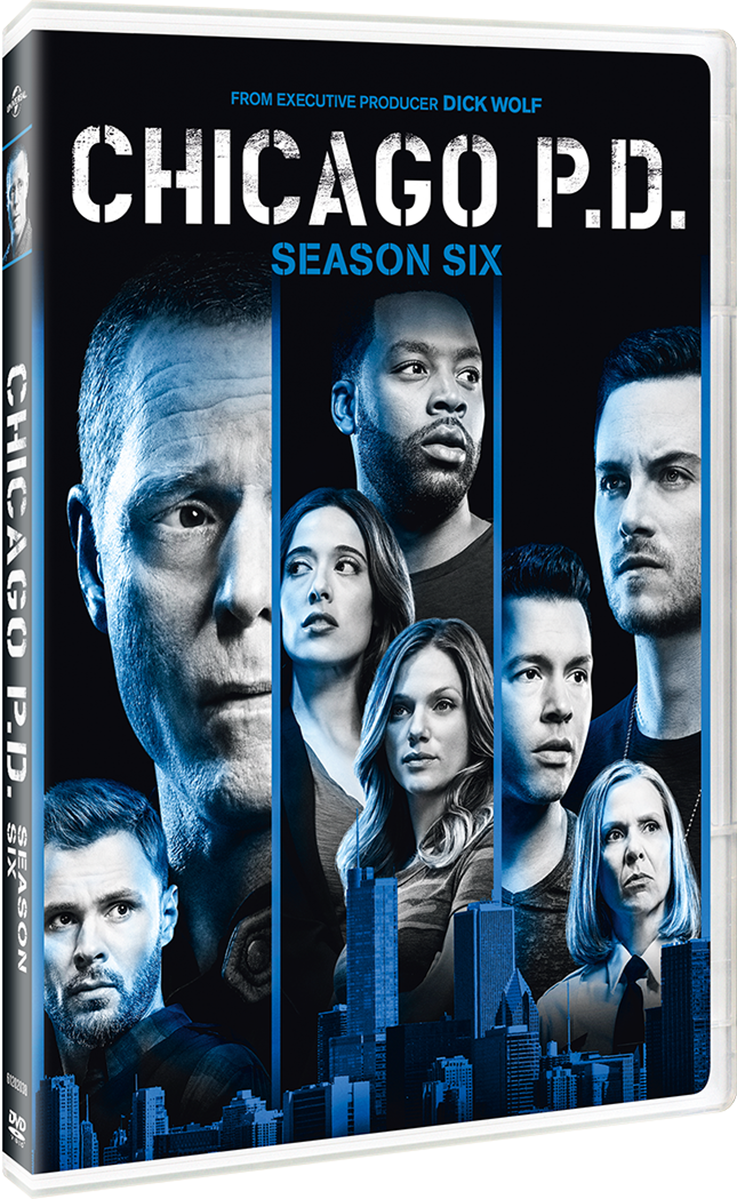 ChicagoPDSeasonSix_DVD_3D_191329097380.png
