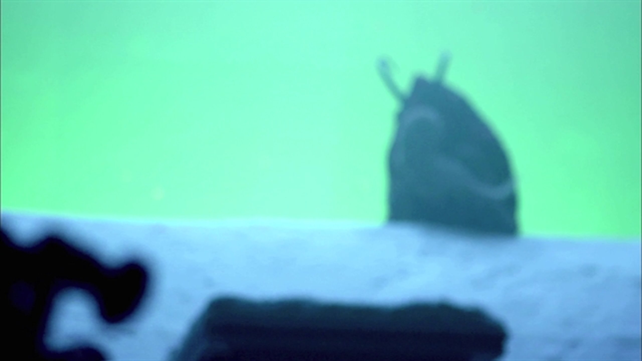 Krampus - Thumbnail