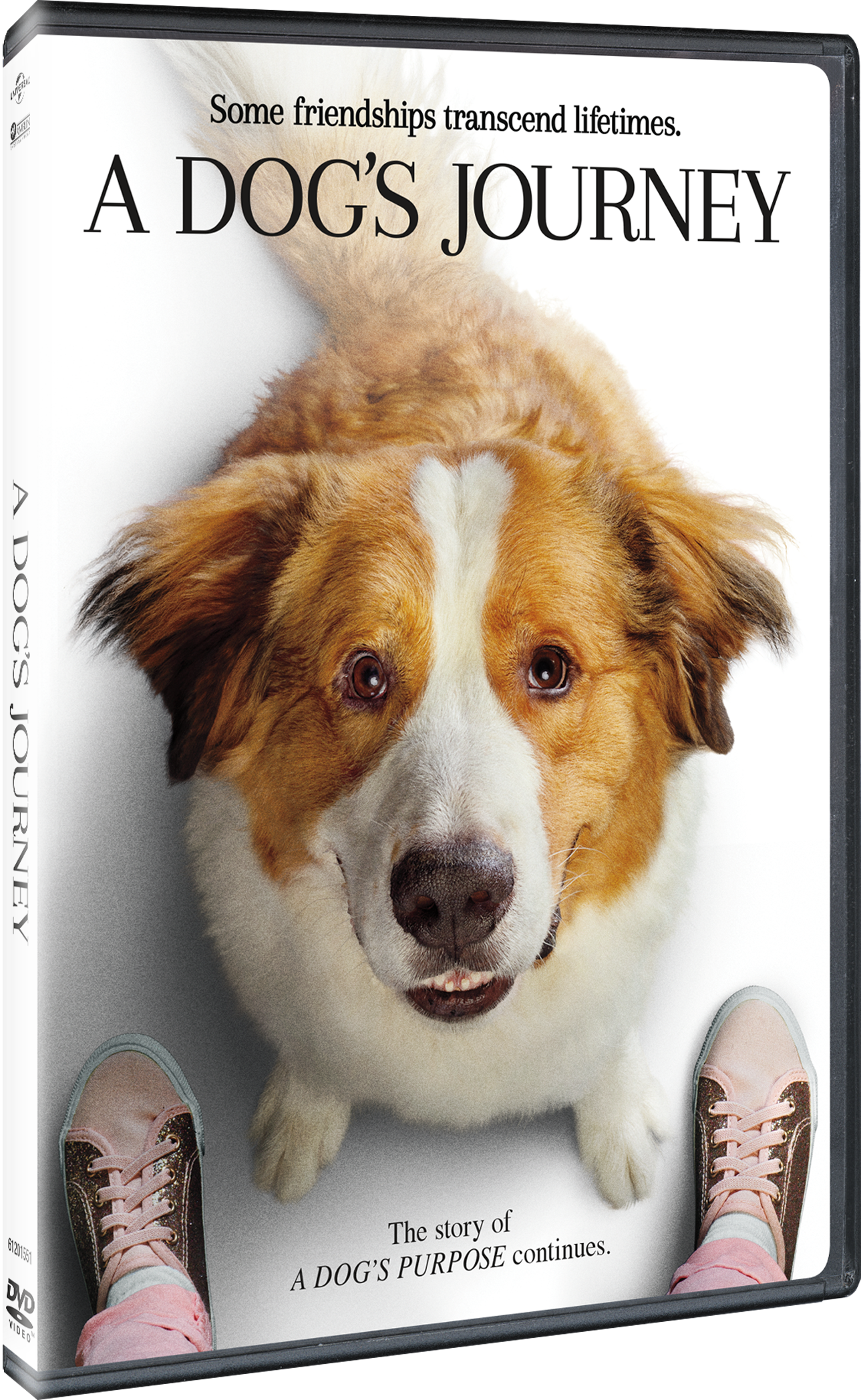 ADogsJourney_DVD_3D_191329094211.png