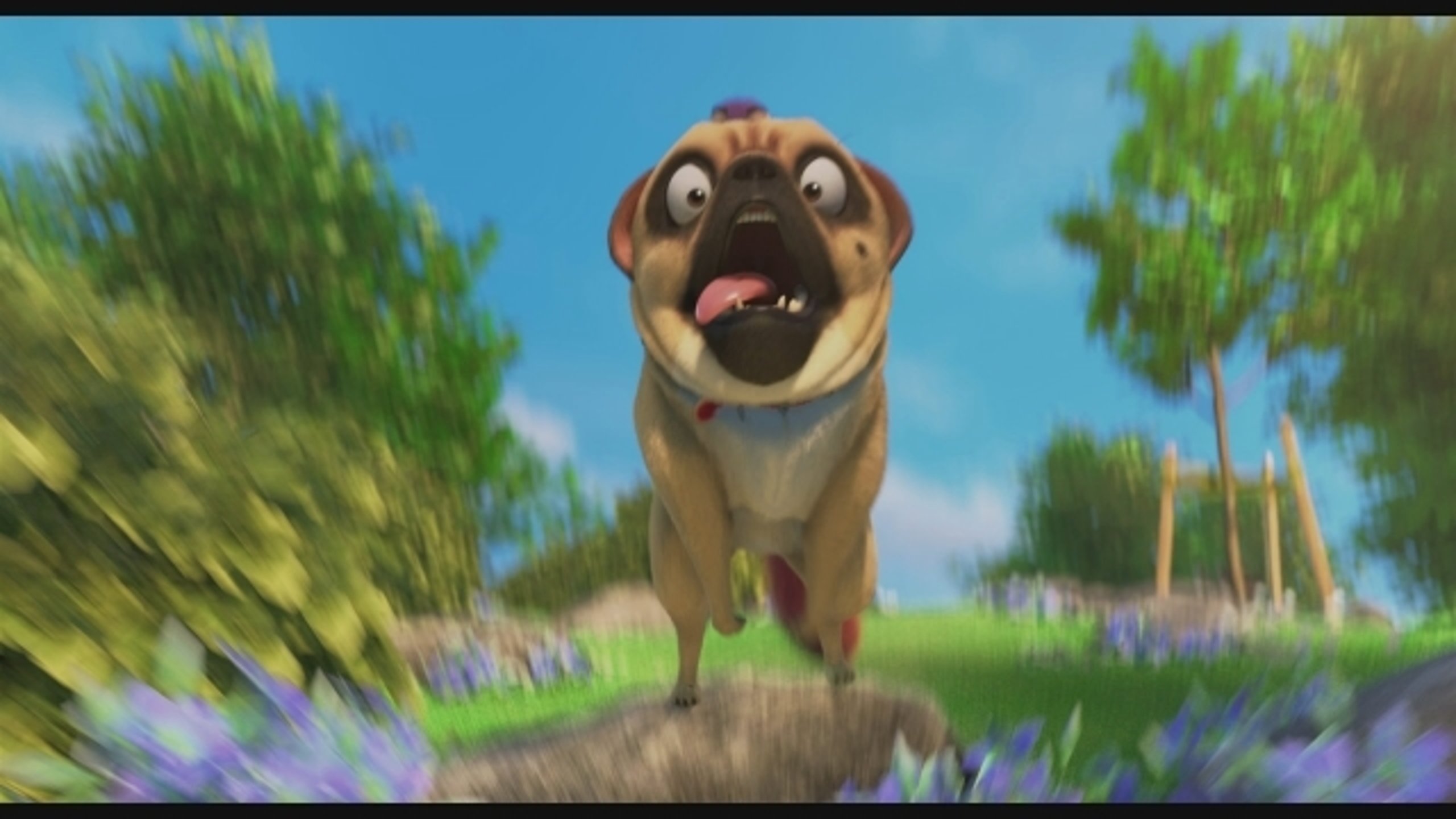 The Nut Job 2: Nutty by Nature - Thumbnail
