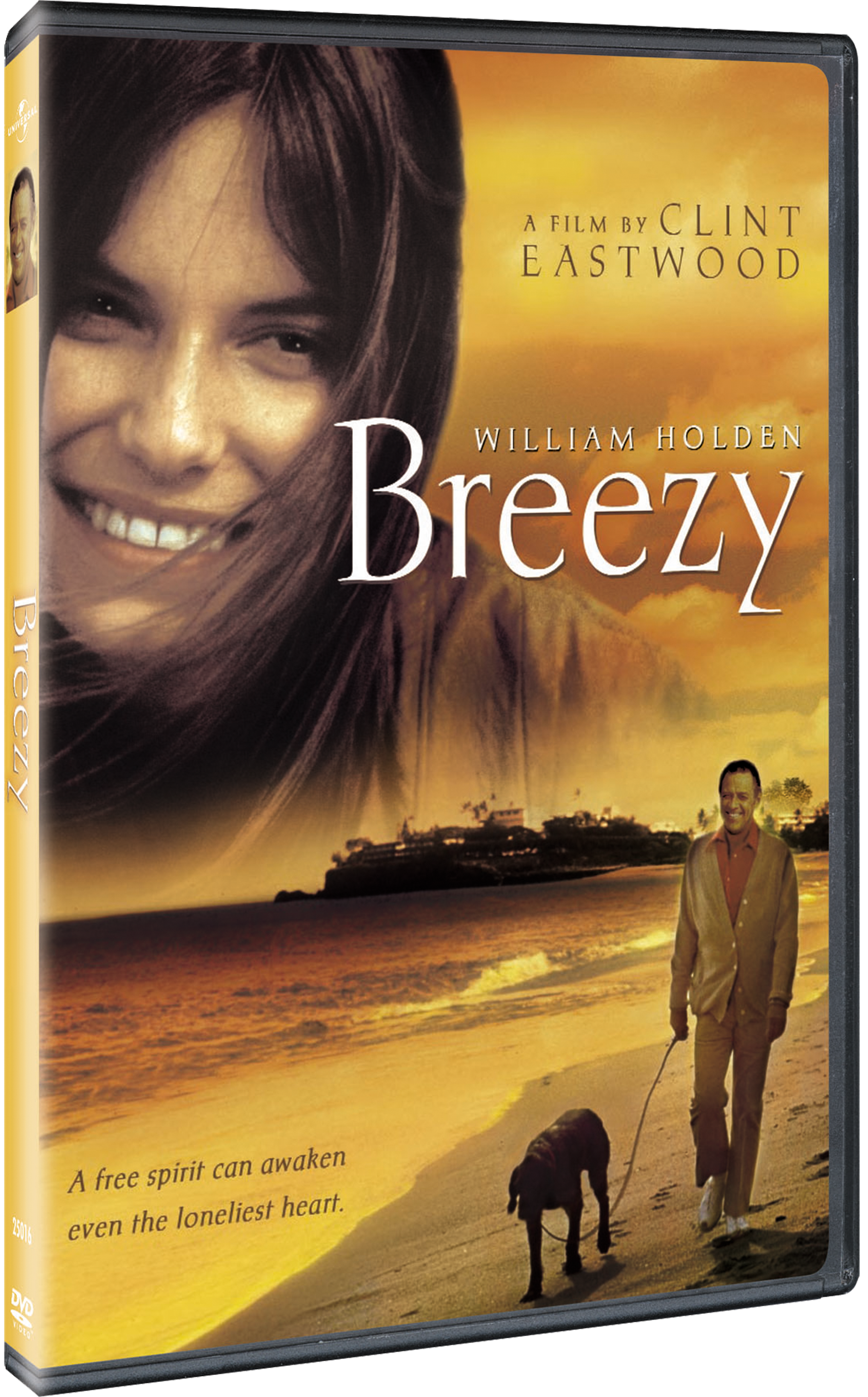 Breezy_DVD_3D_025192501623.png