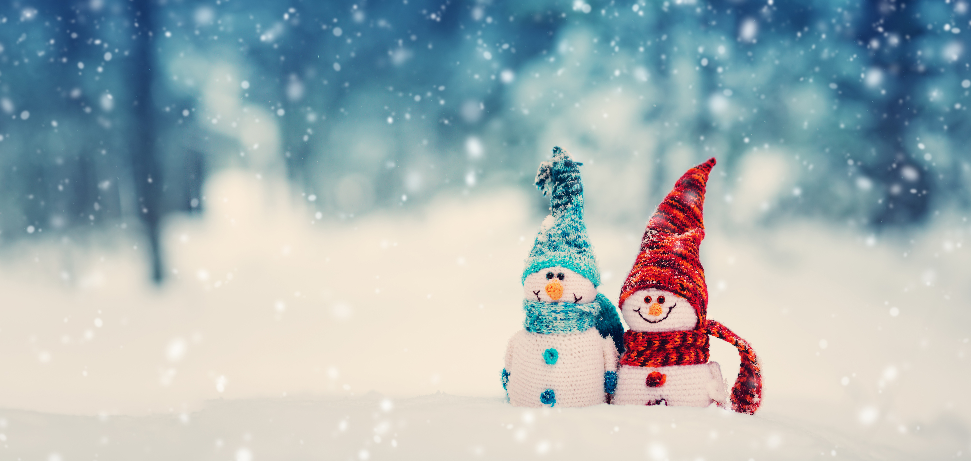 Holiday Cheer