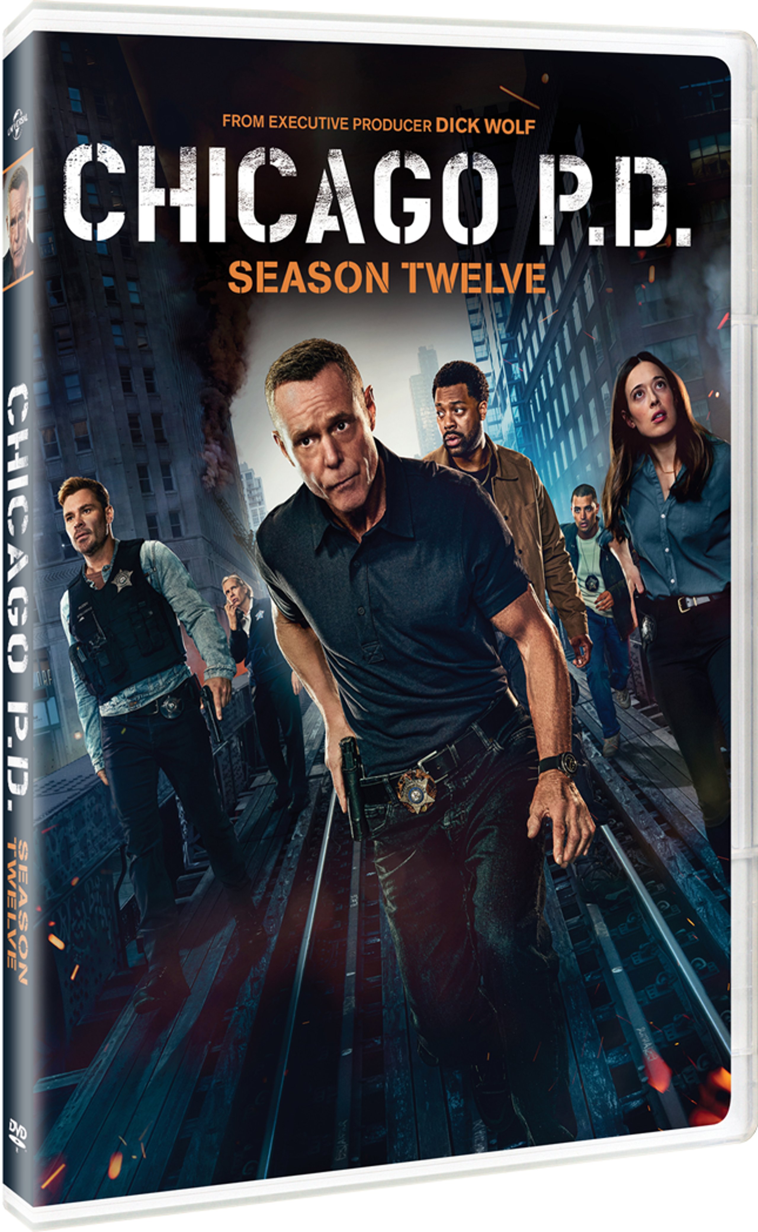ChicagoPDSeasonTwelve_DVD_2D_840418334294.png
