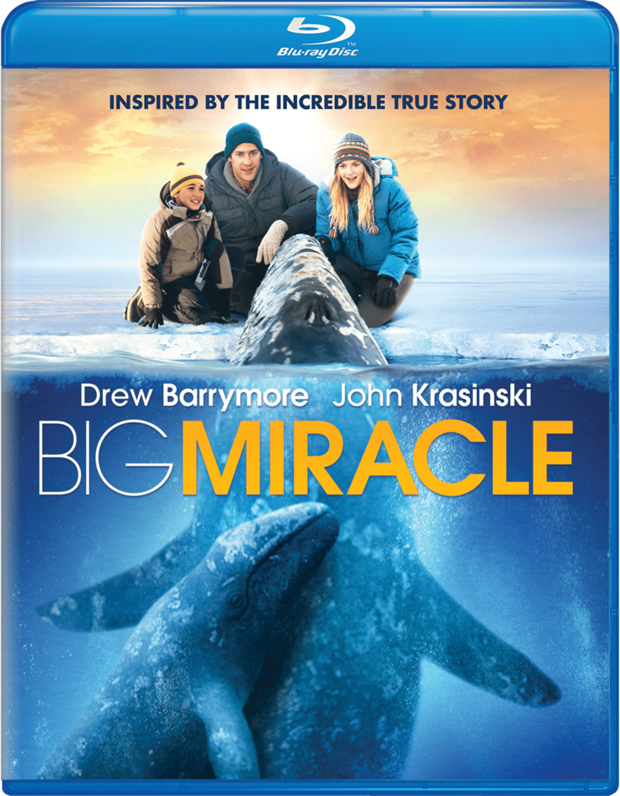 BigMiracle_BD_2D_840418323113.png