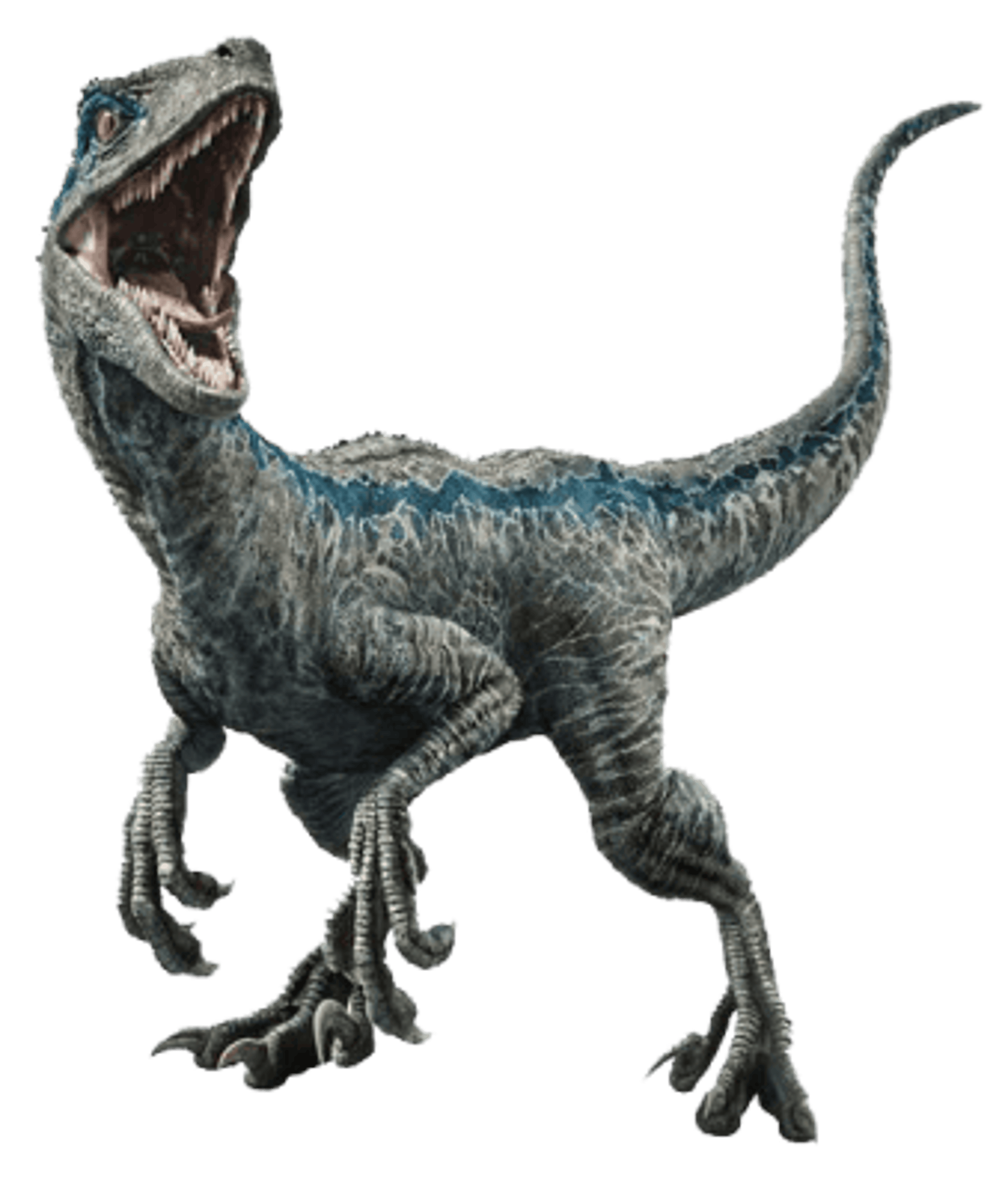 BlueRaptor_character.png