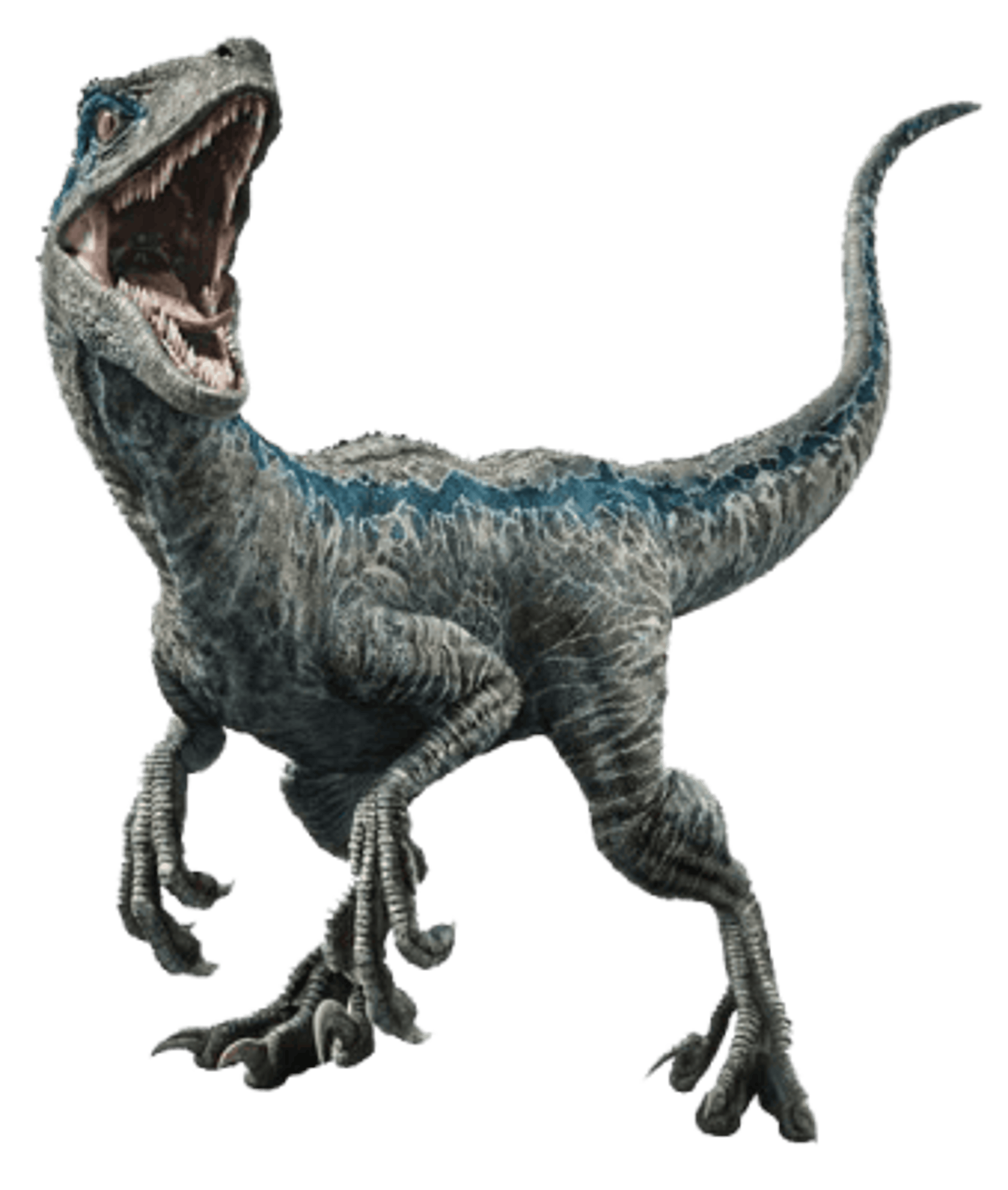 BlueRaptor_character.png