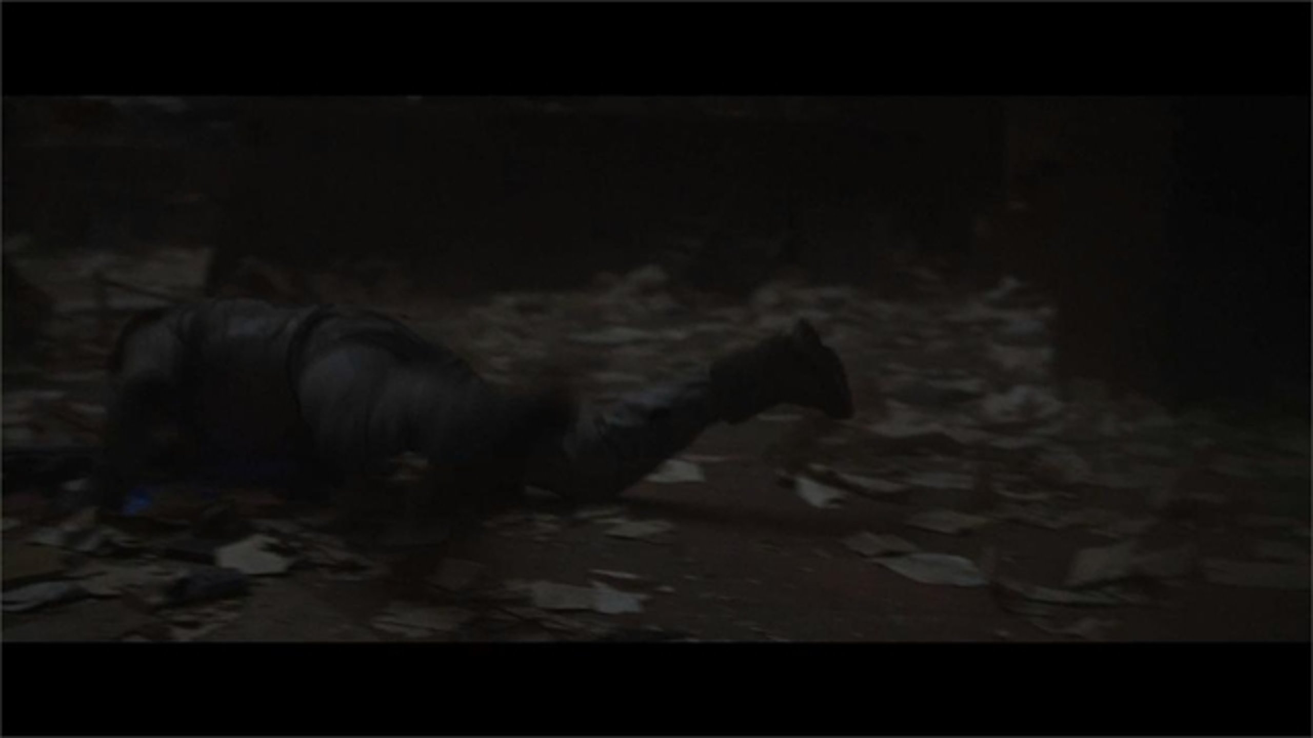 Oblivion - Thumbnail