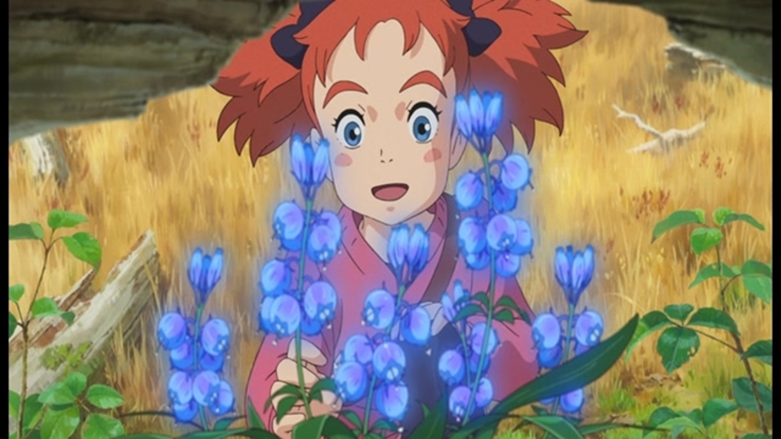 Mary and The Witch's Flower - Thumbnail