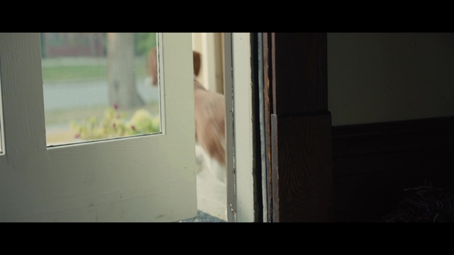 A Dog's Journey - Thumbnail