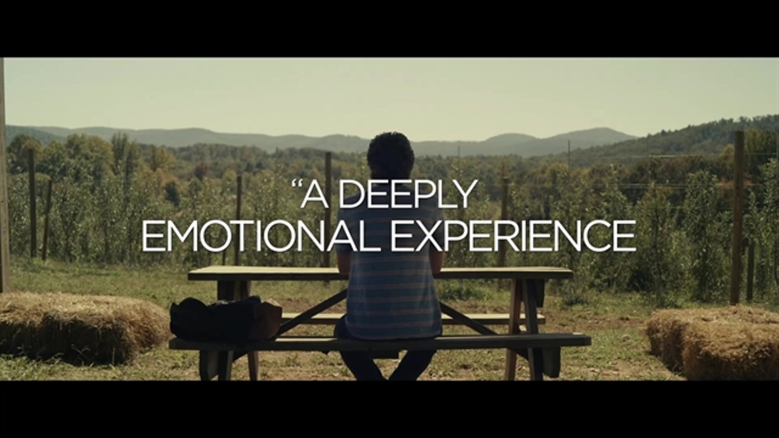 Dear Evan Hansen - Thumbnail