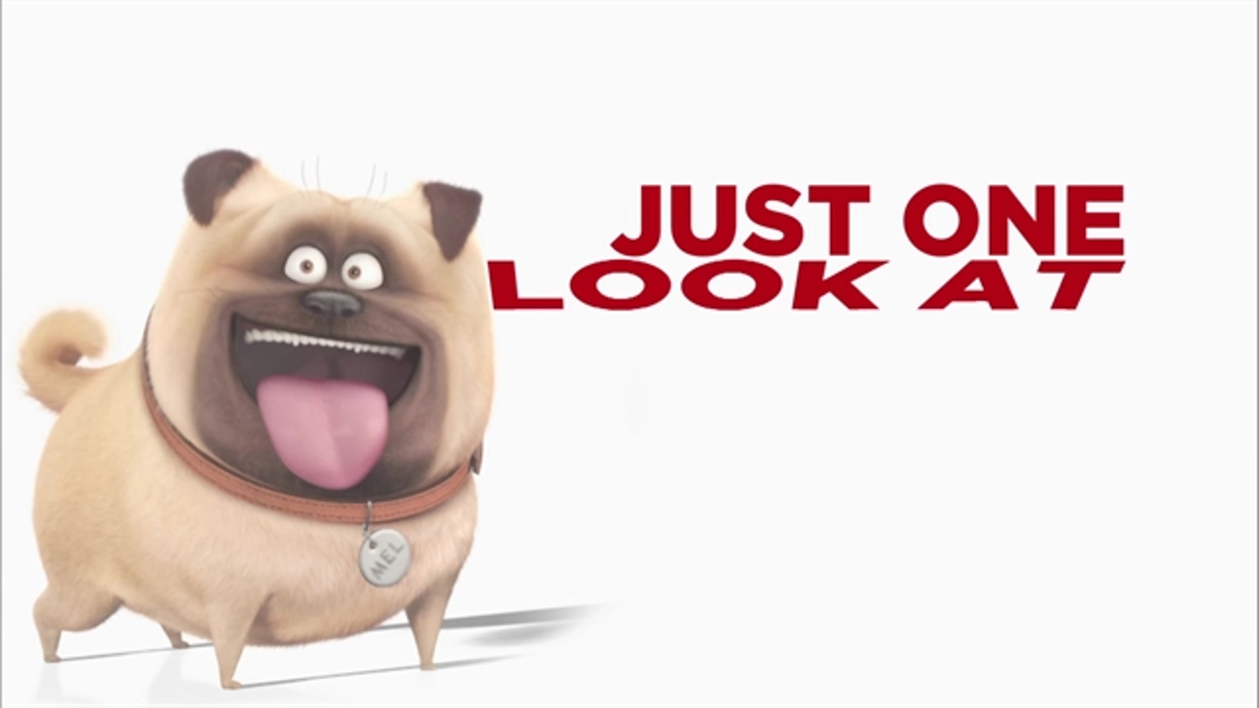 The Secret Life of Pets - Thumbnail