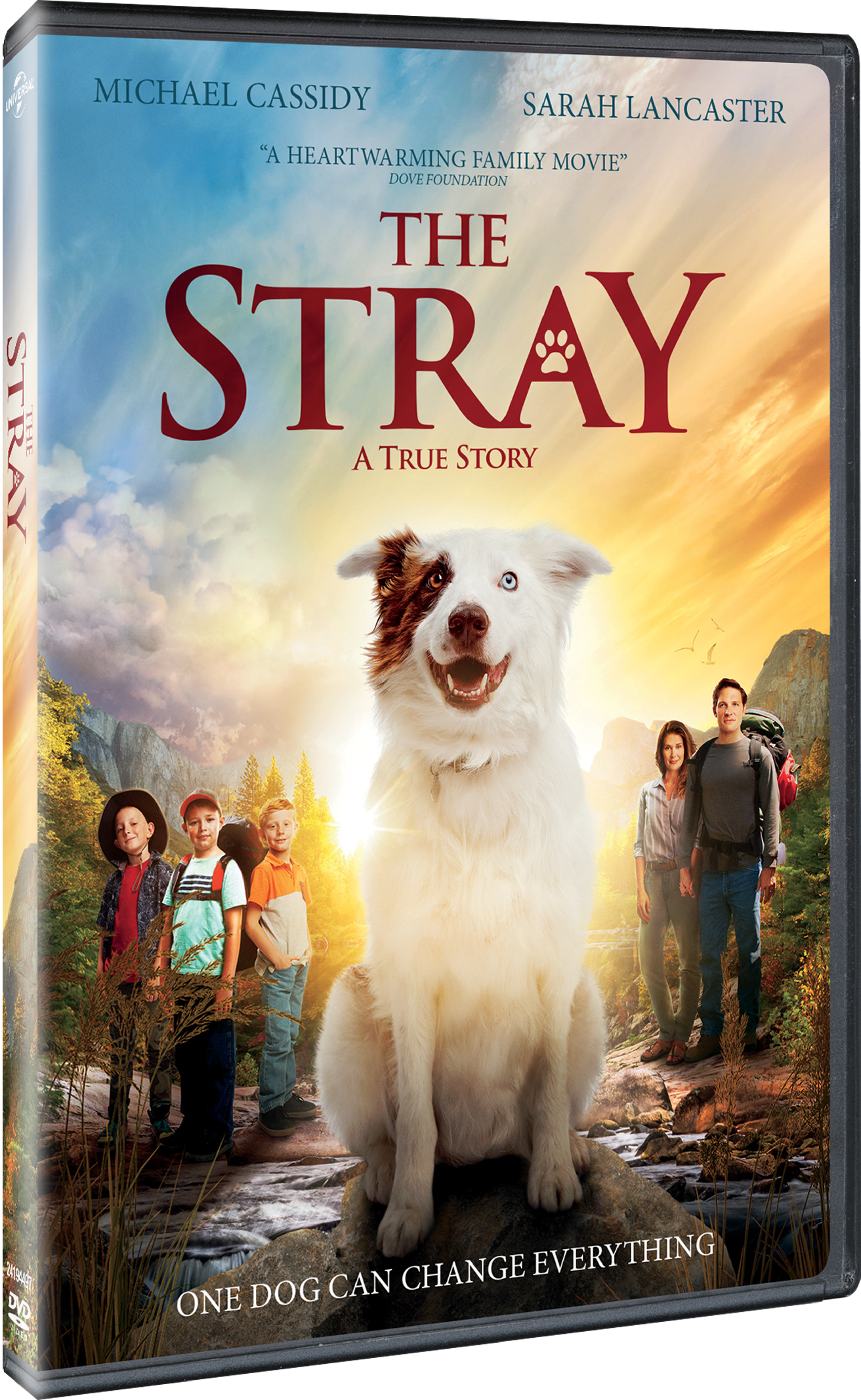 TheStray_DVD_2D_191329045985.png