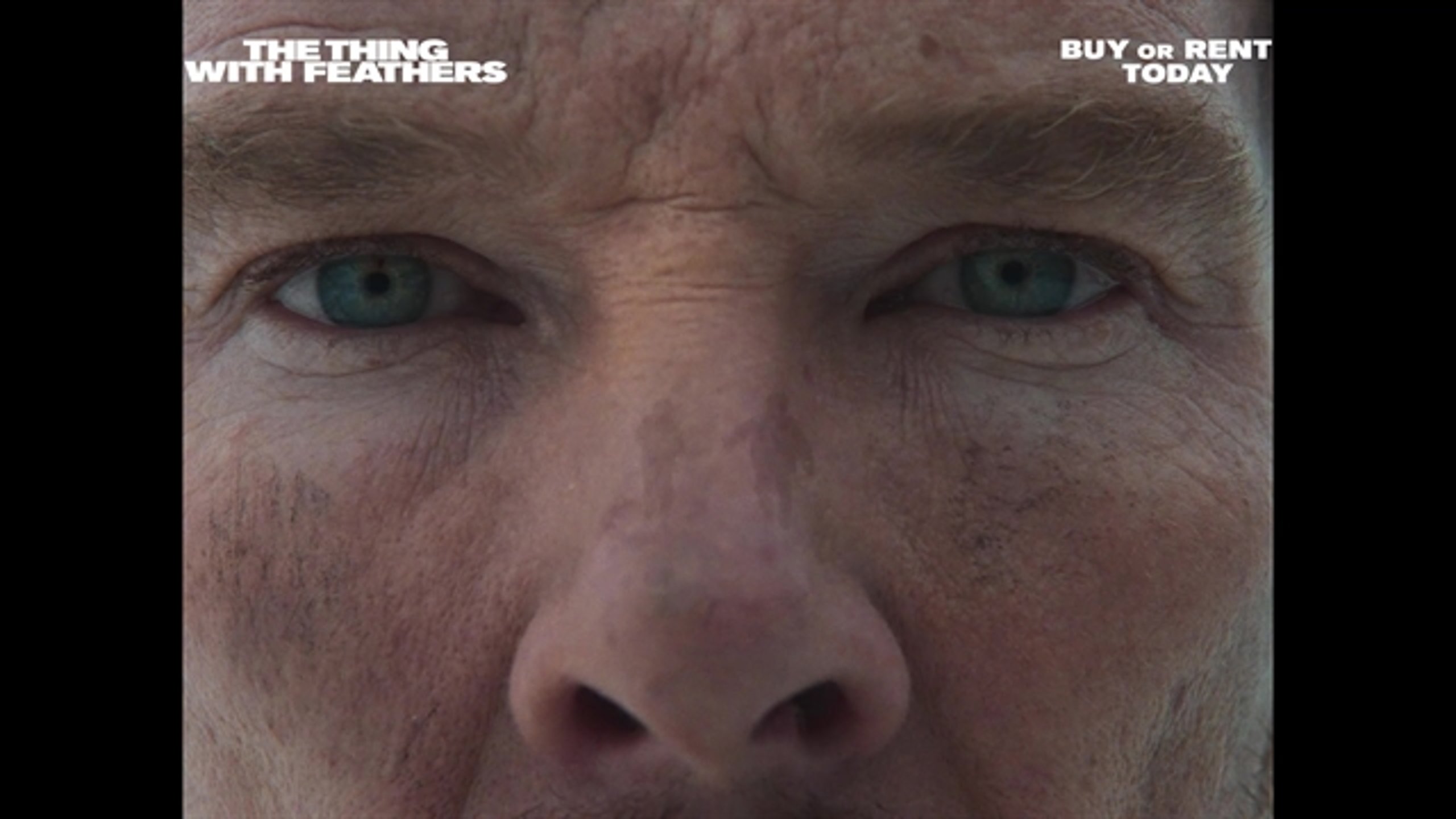 The Thing with Feathers - Thumbnail