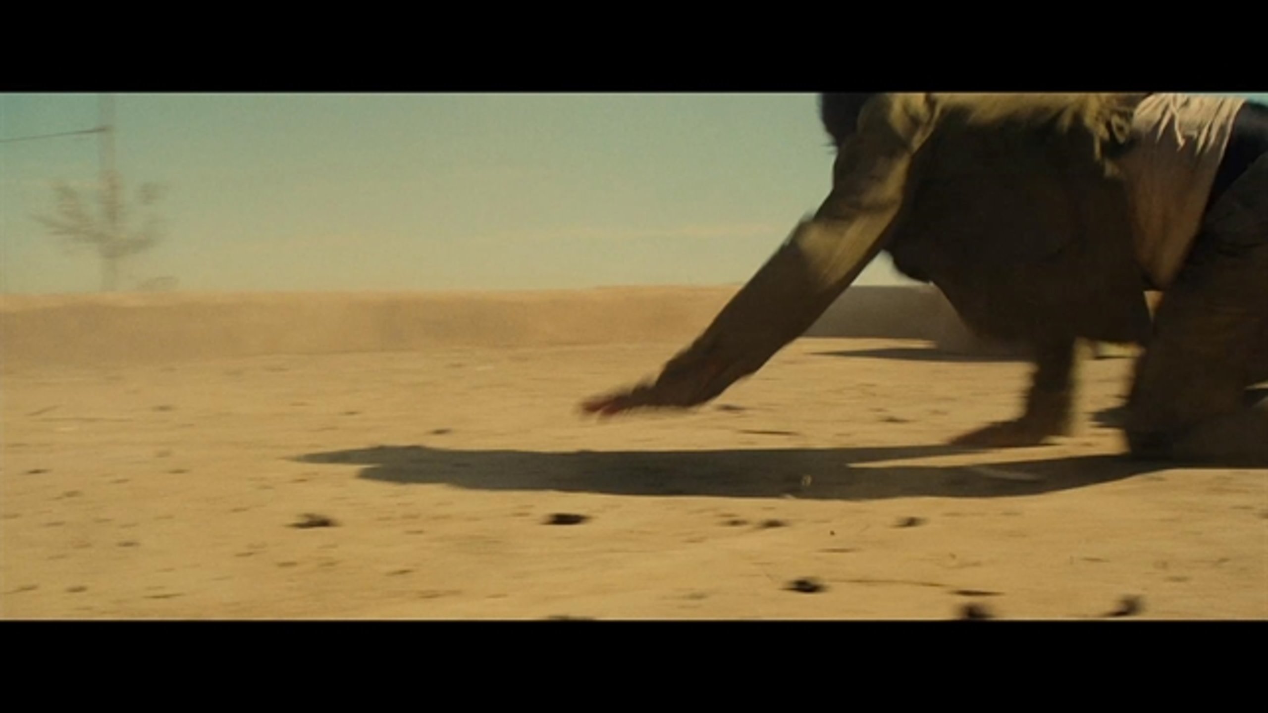 The Mummy - Thumbnail