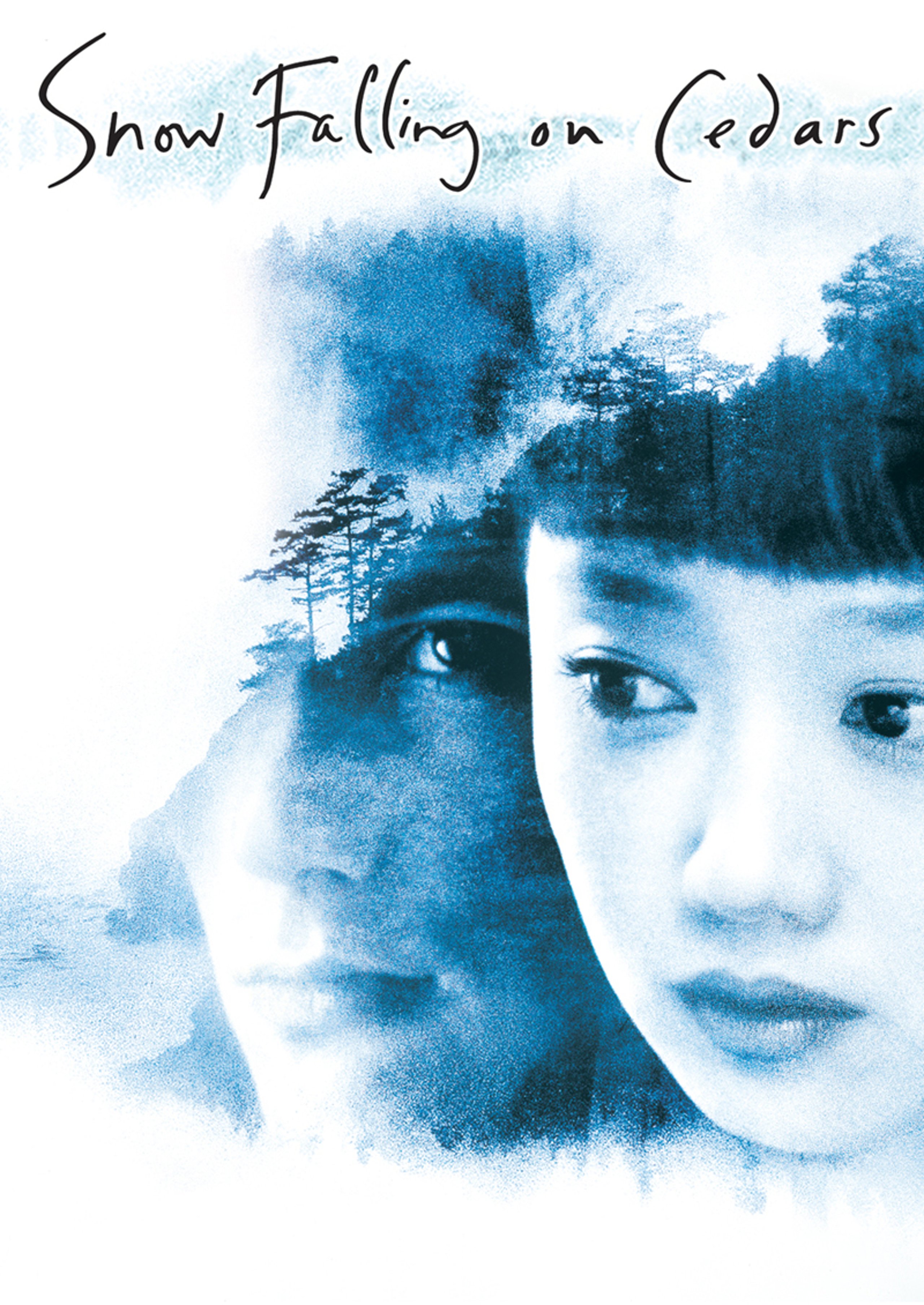 SnowFallingOnCedars_poster.jpg