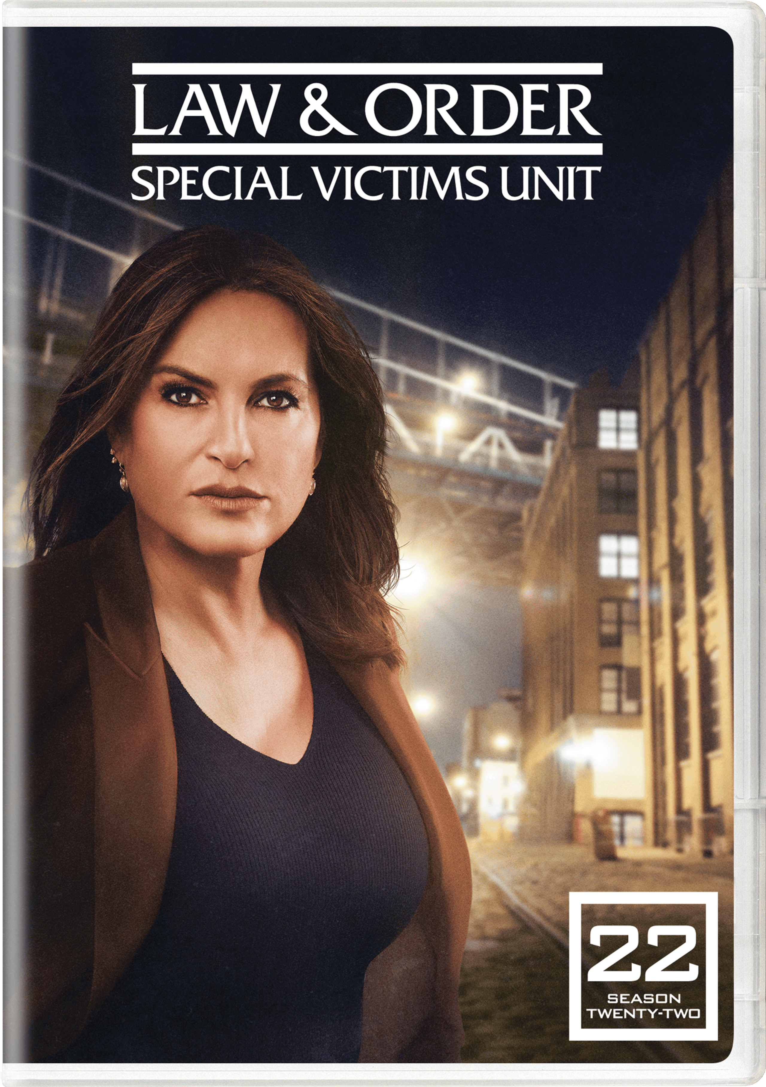 LawAndOrderSpecialVictimsUnitTwentySecondYear_DVD_2D_810072543790.png